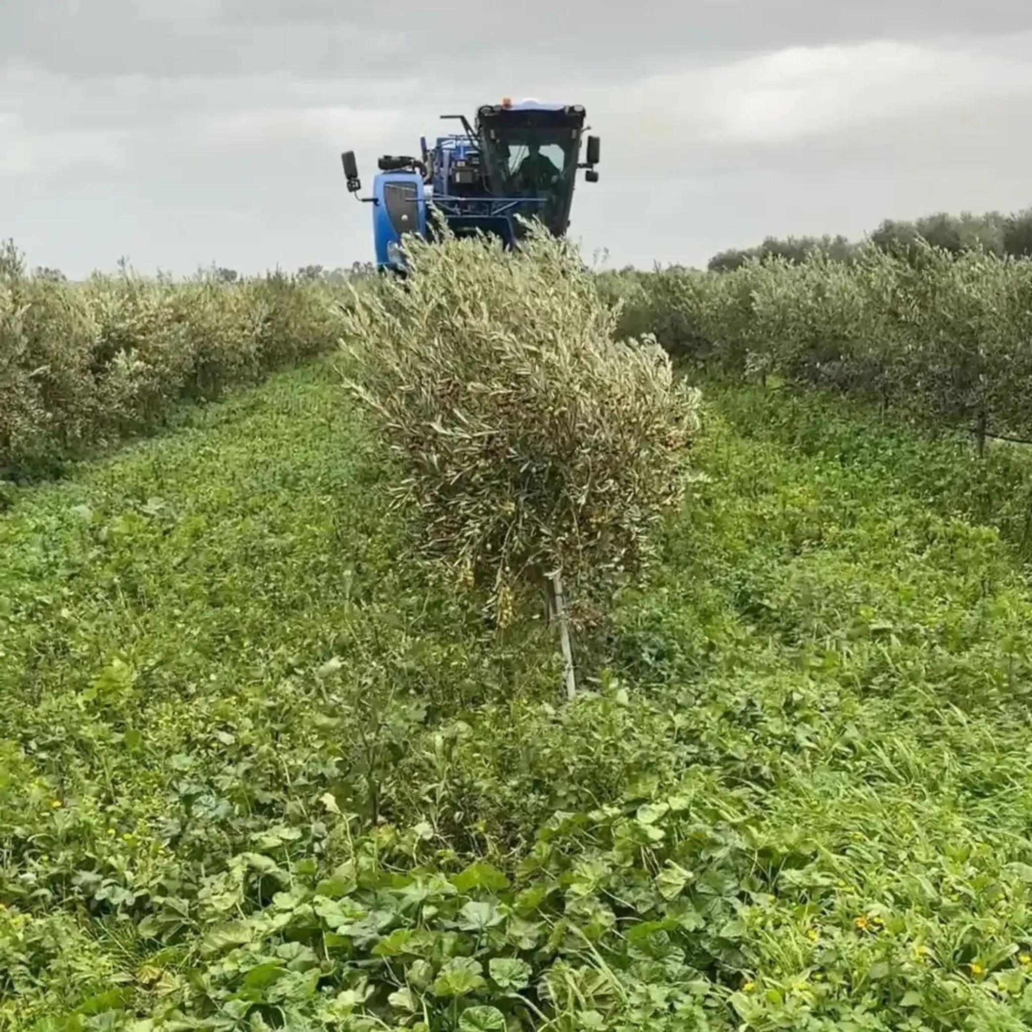 @TEO93.AGROTECH