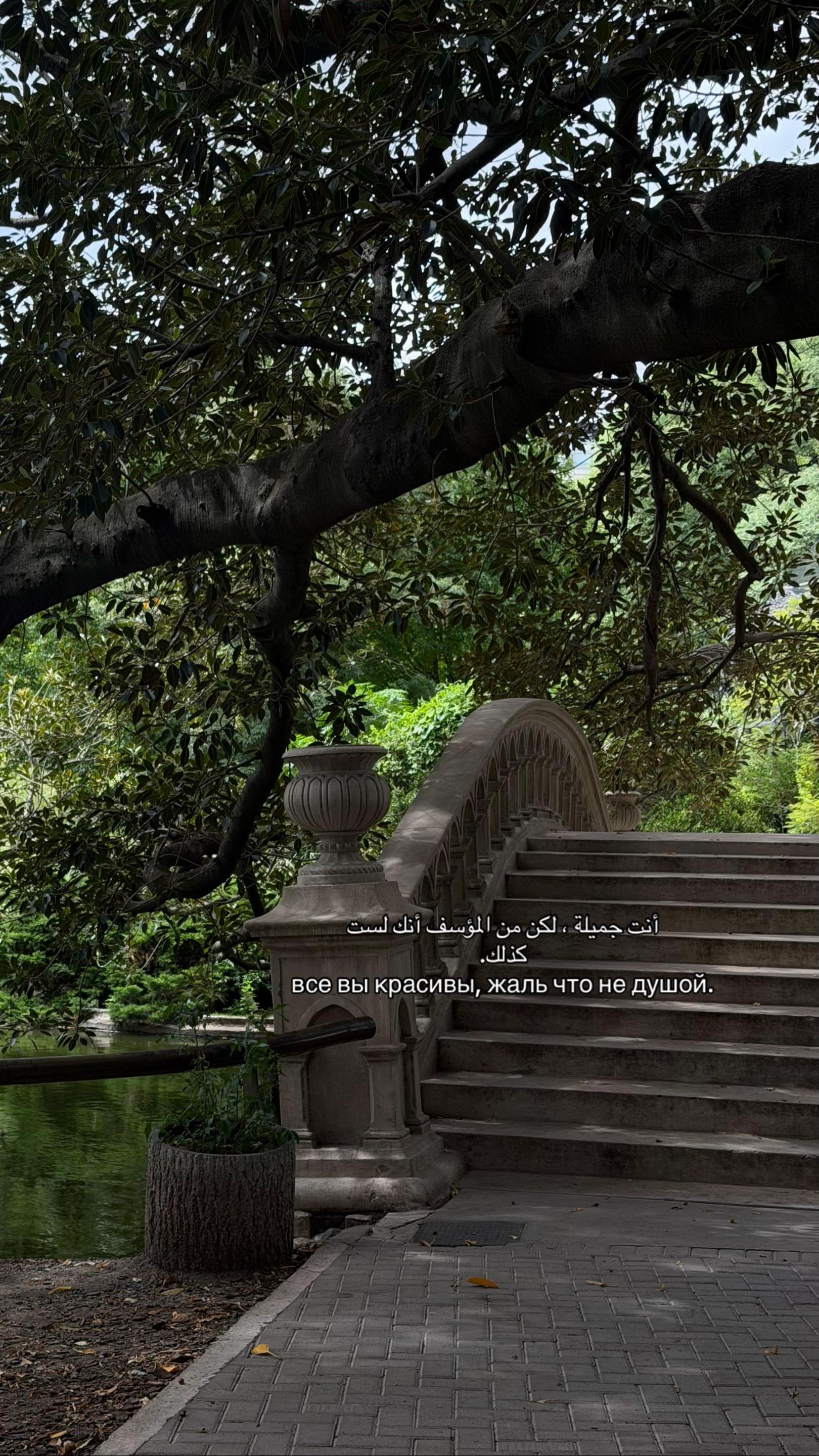 @all.qamarr