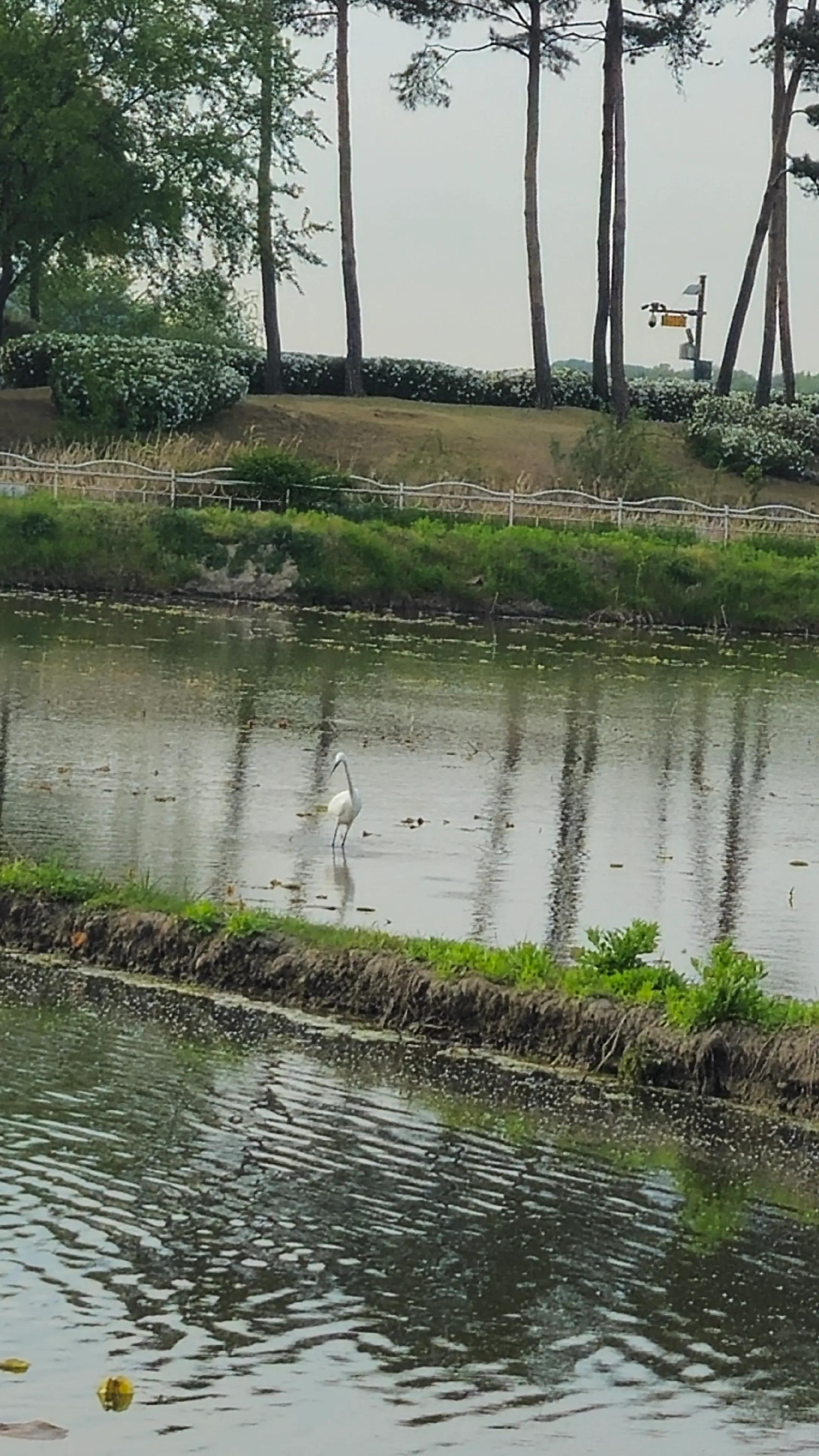 @상큼선이