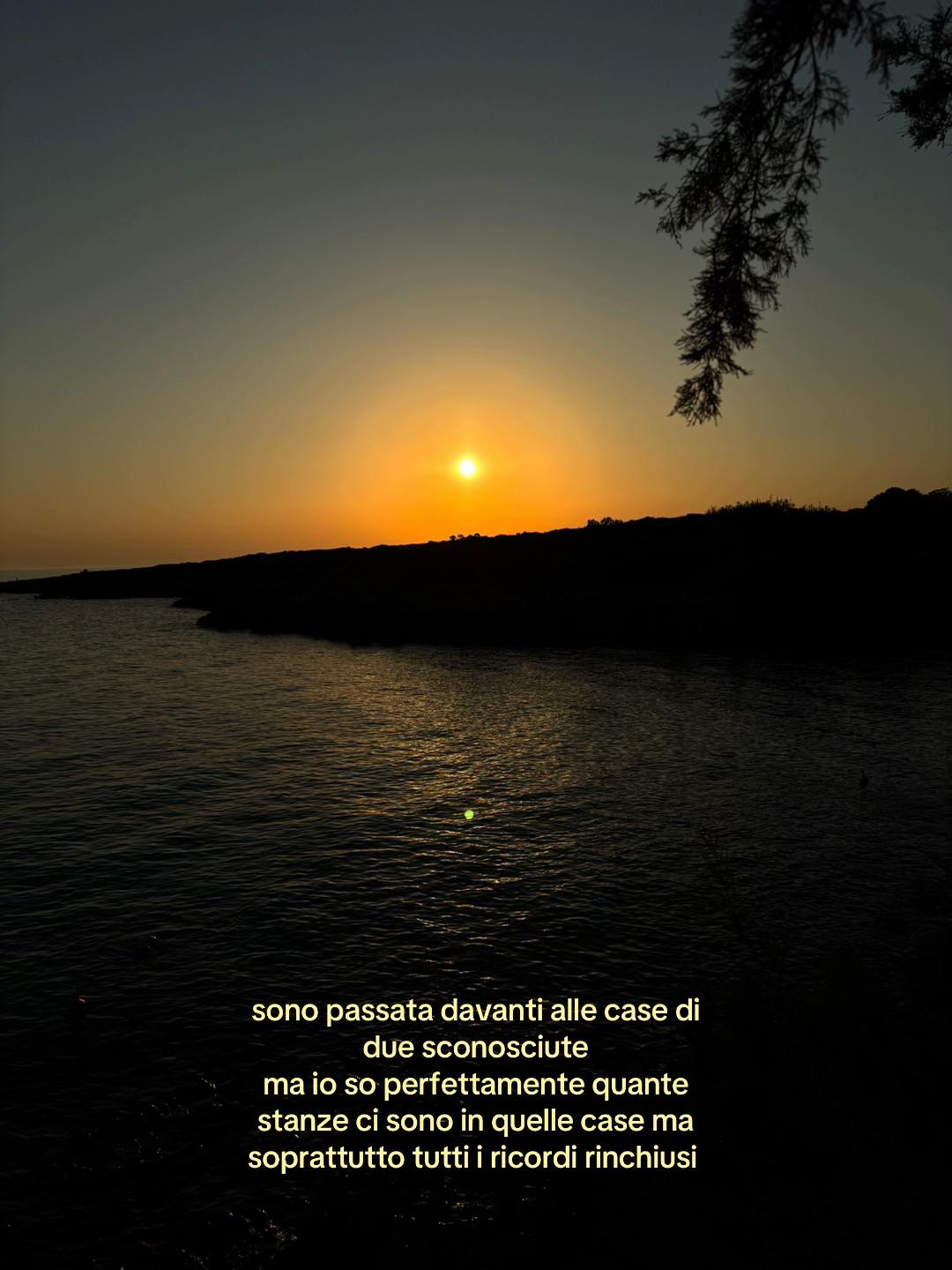 @𝓰𝓲𝓸𝓻𝓰𝓲𝓪🌟