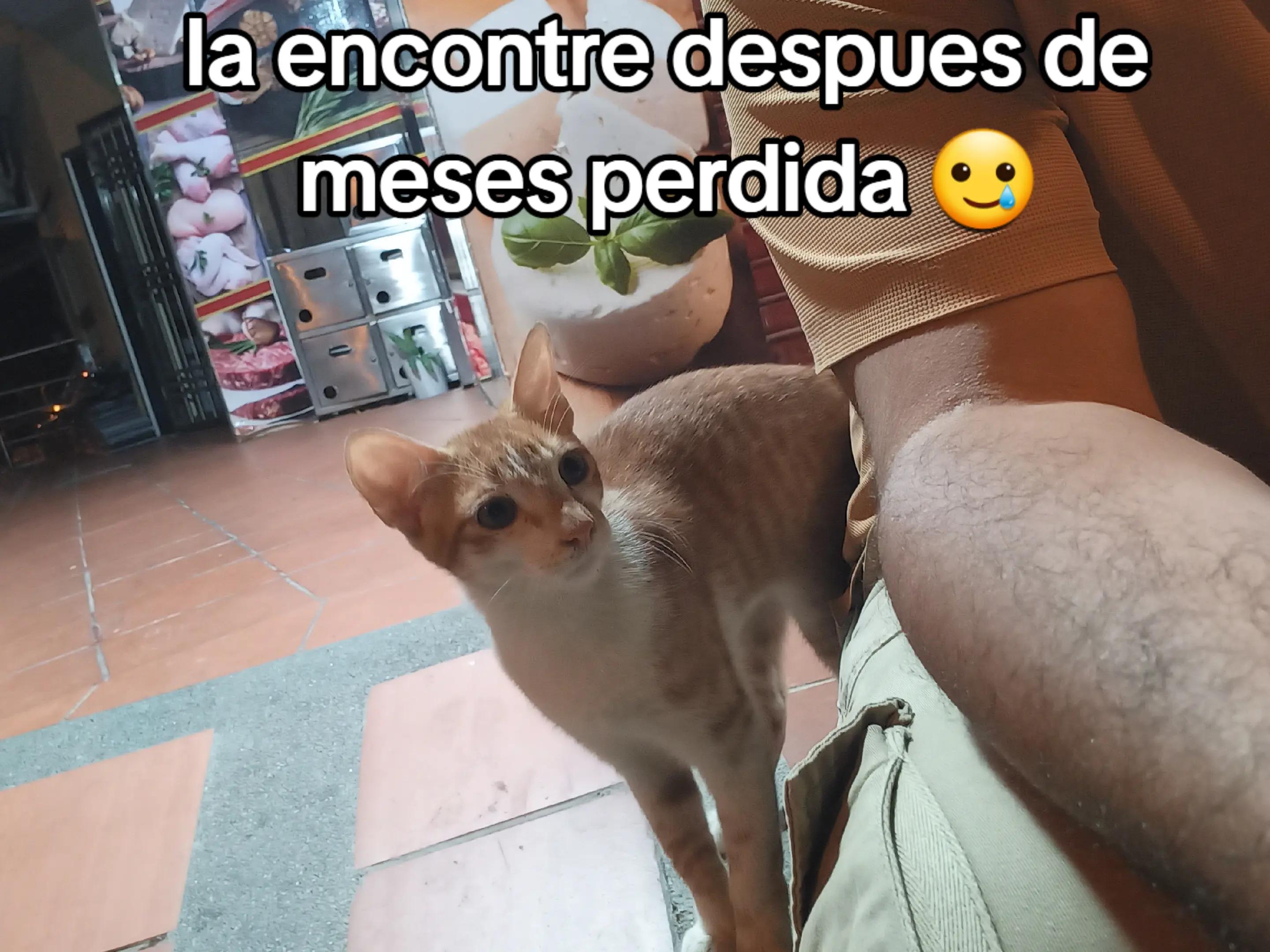 @Caballos y Reatas