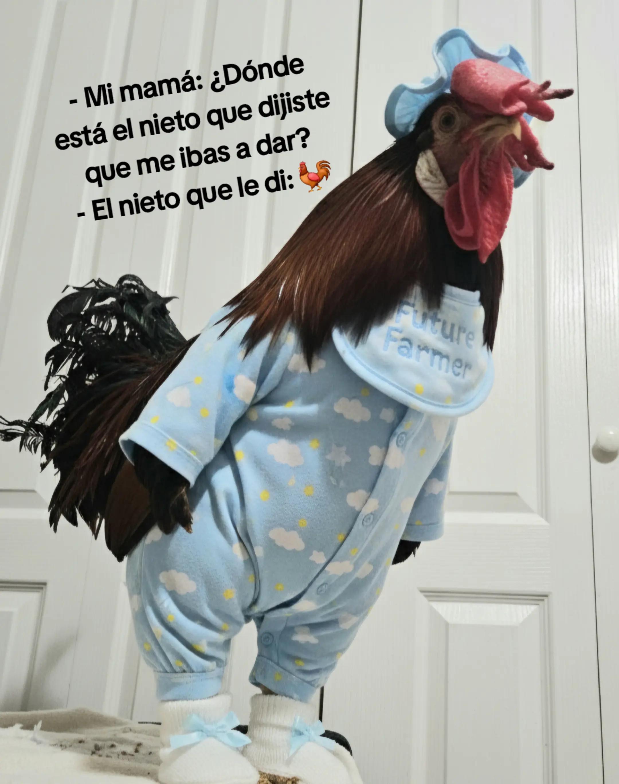 @chi_kii20