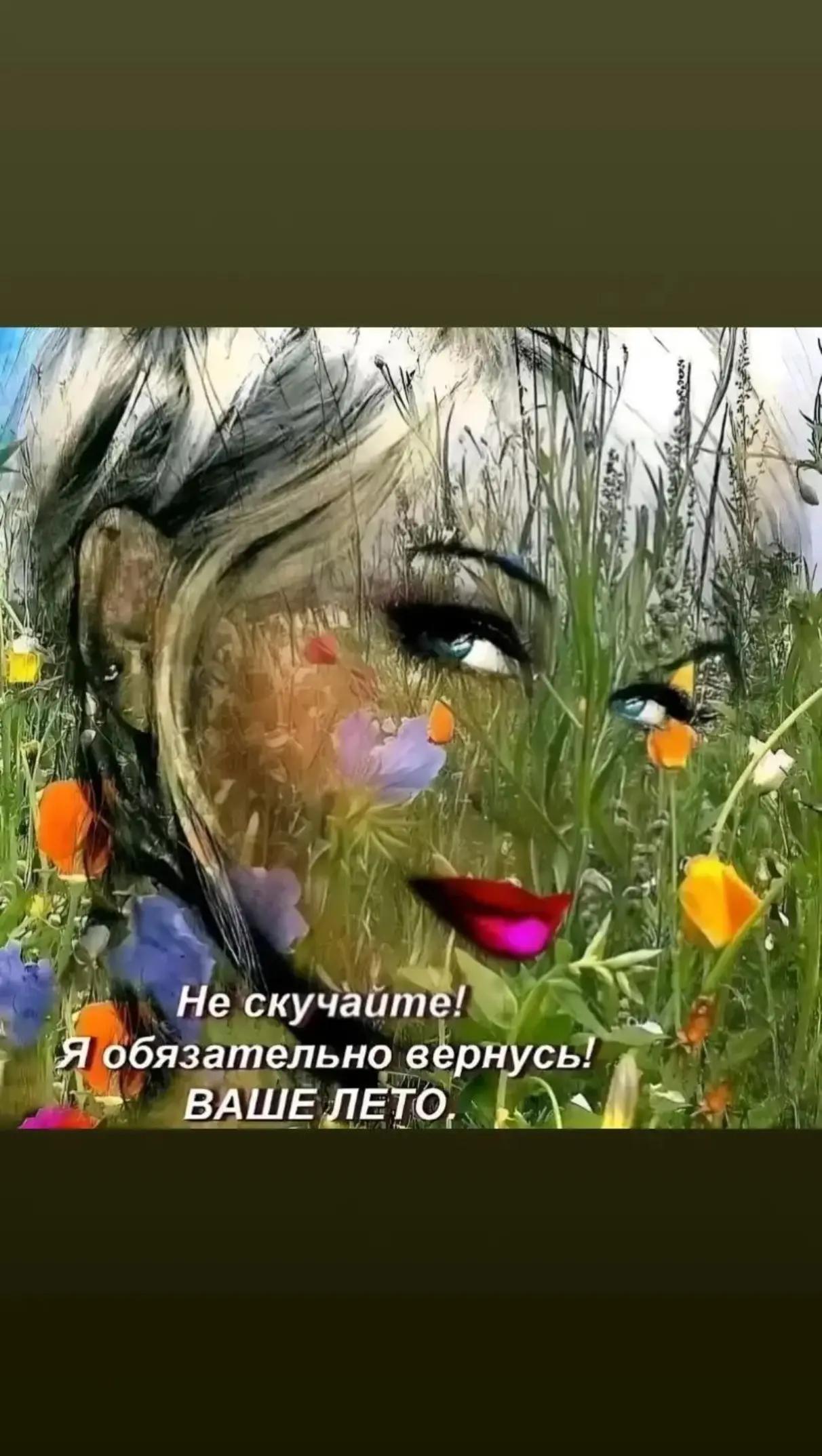 @shilux1