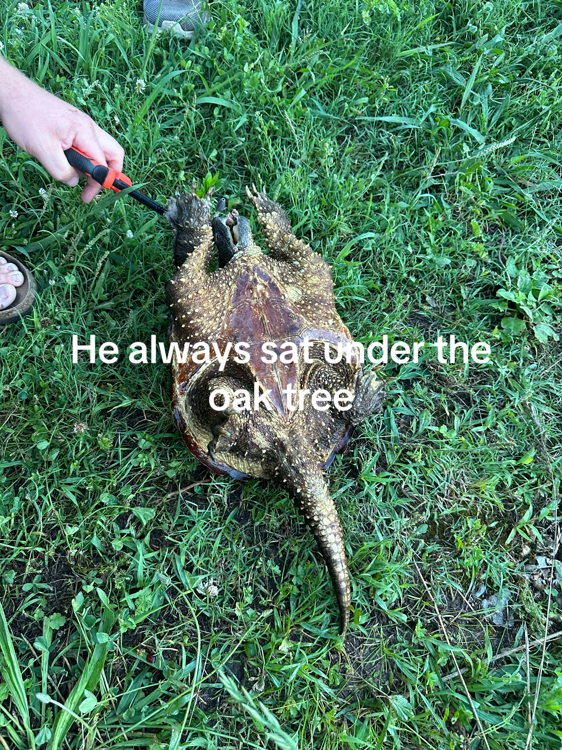 @Adawg