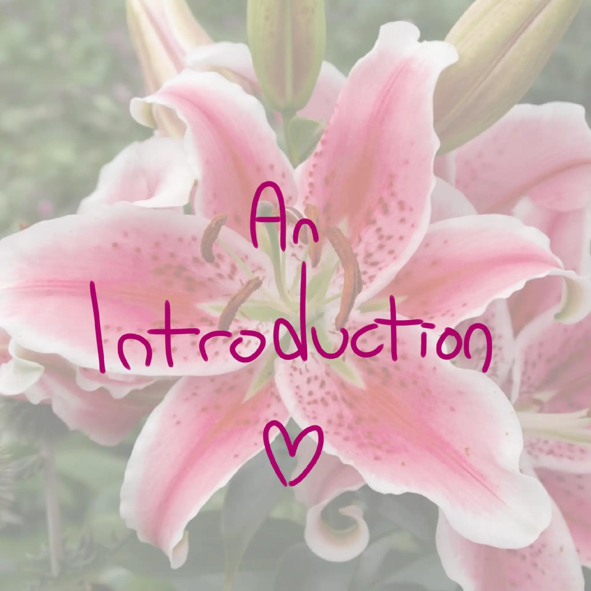 @[☆Stargirl_Lily☆]