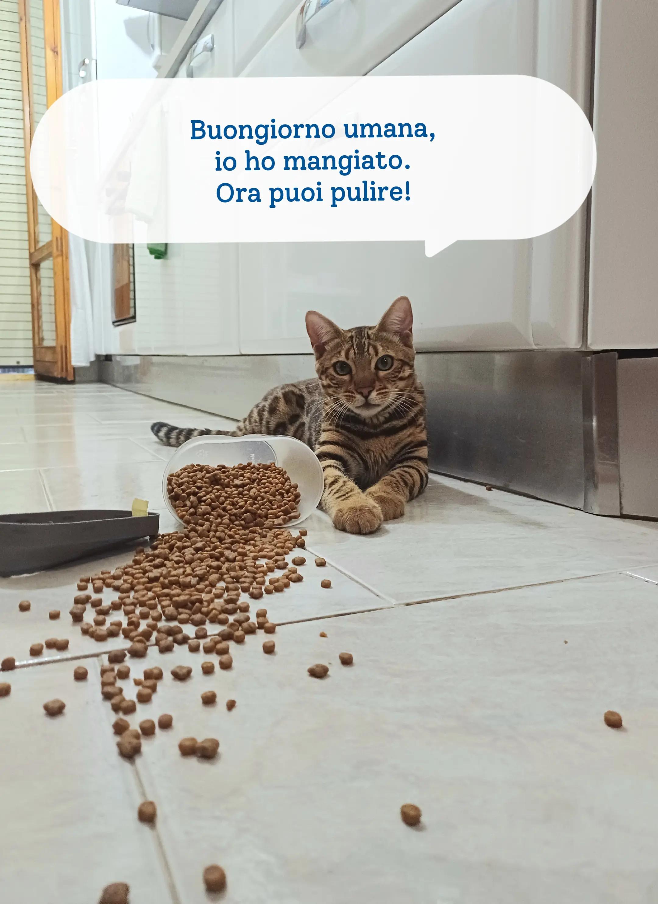 @Rio.supercat
