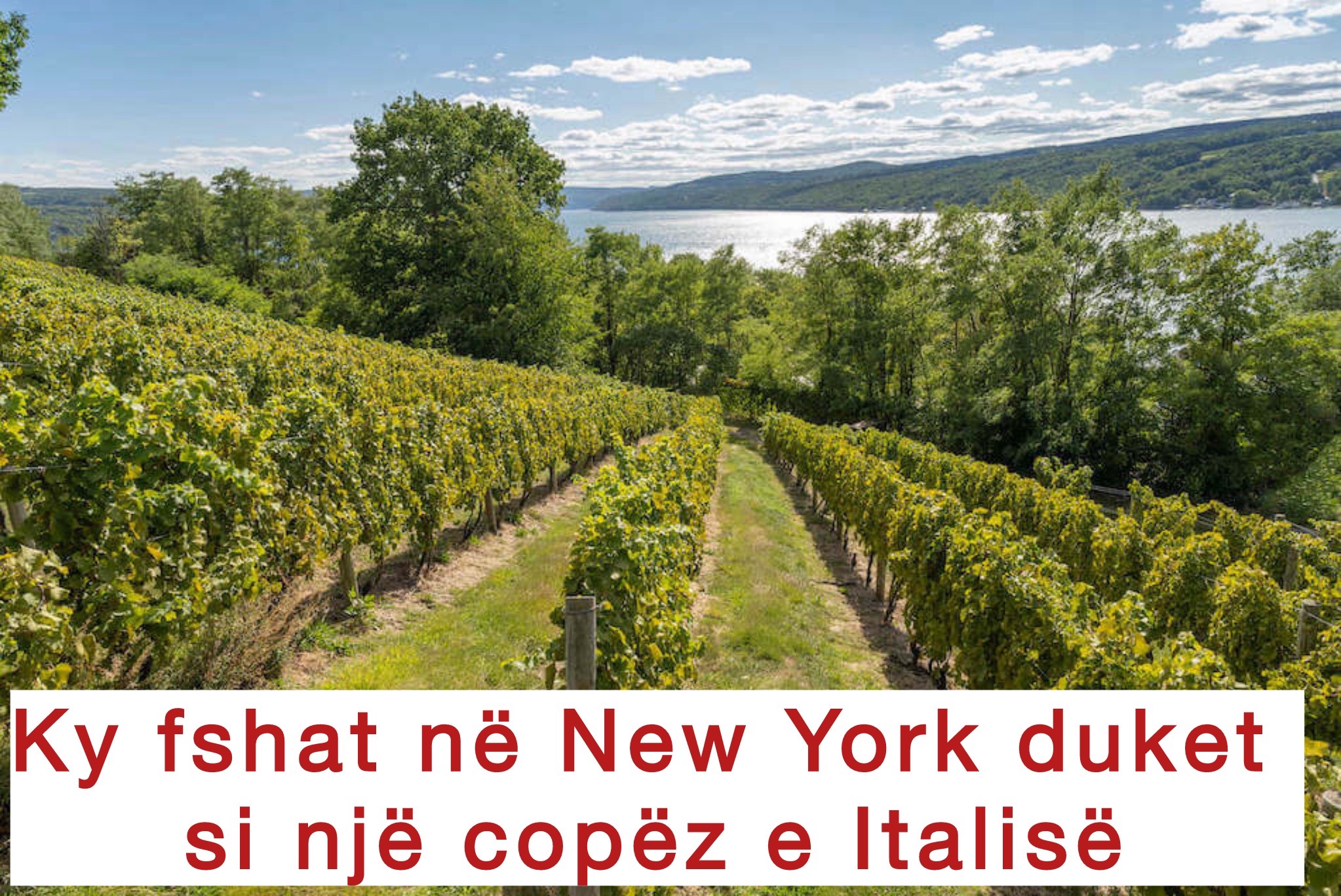 @NjuJorkezët