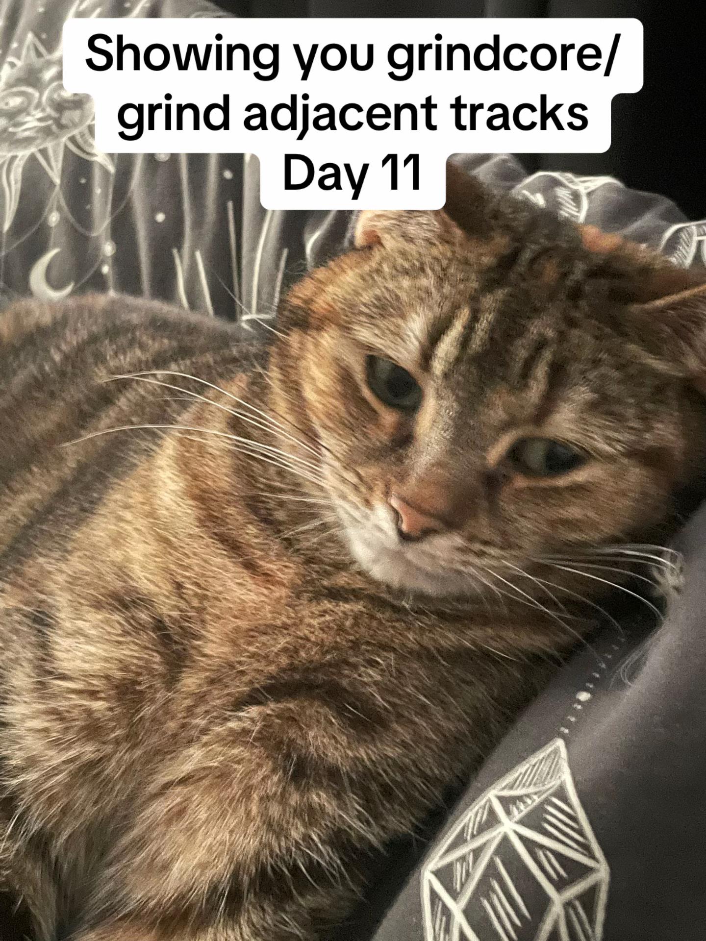 @Zak Ⓐ🎛️