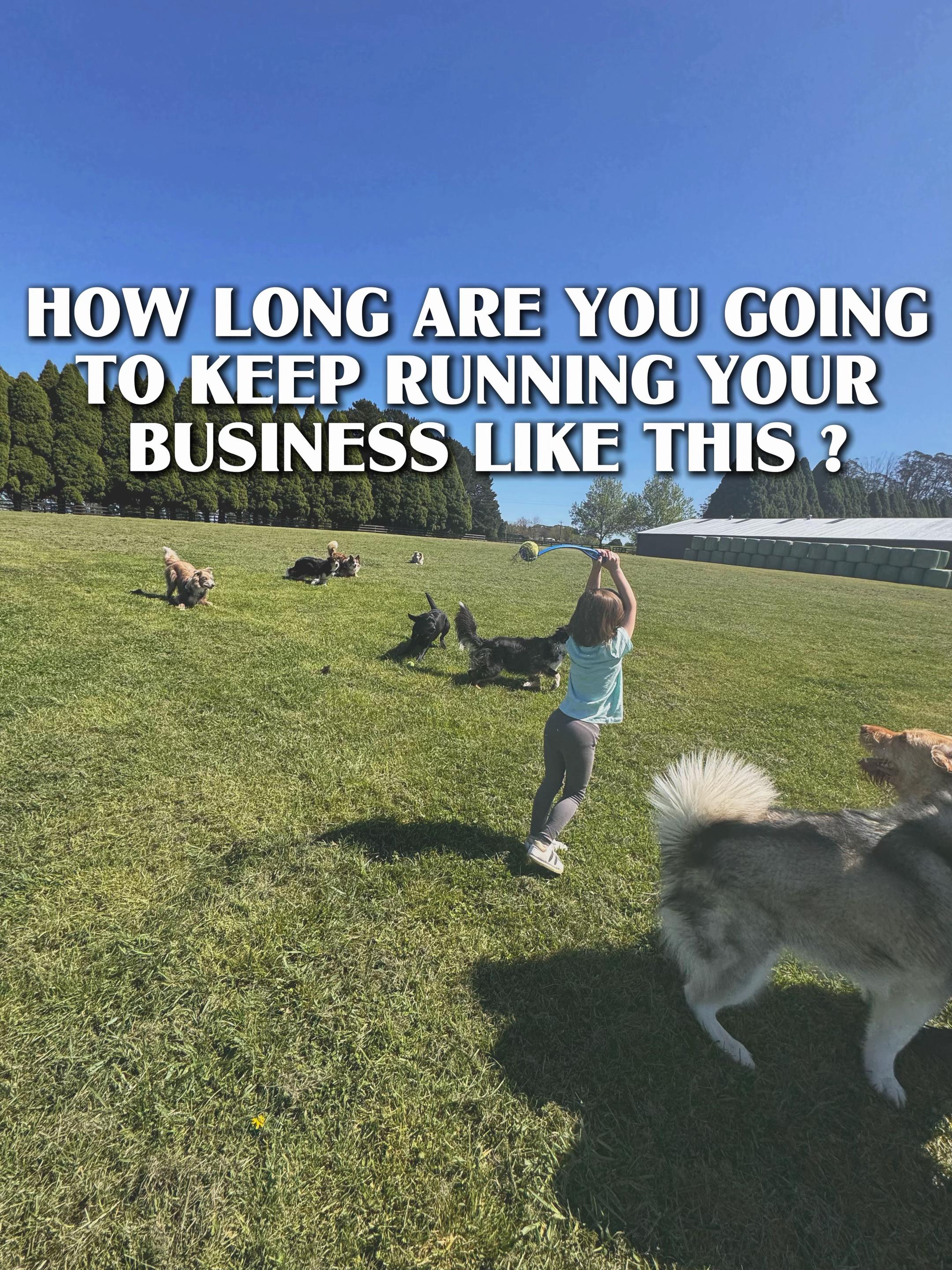 @Chenelle | Pet Sitter Podcast