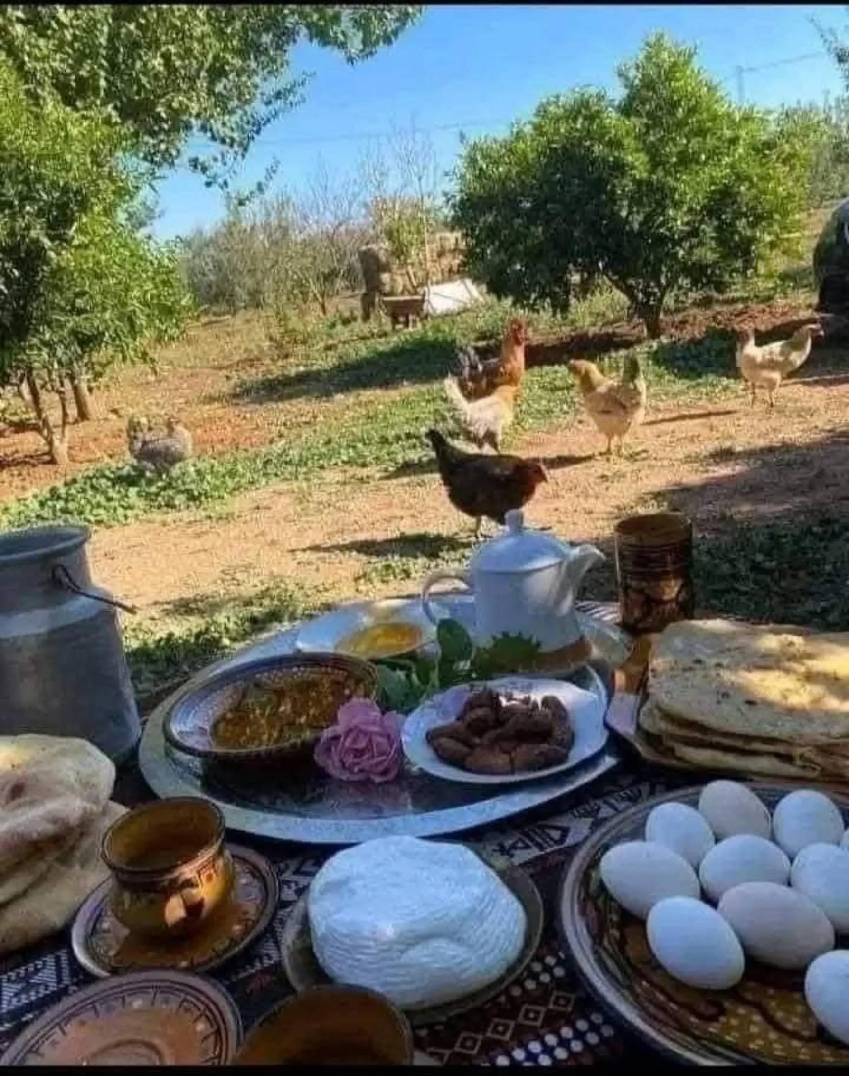 @تنہا زندگی 😍