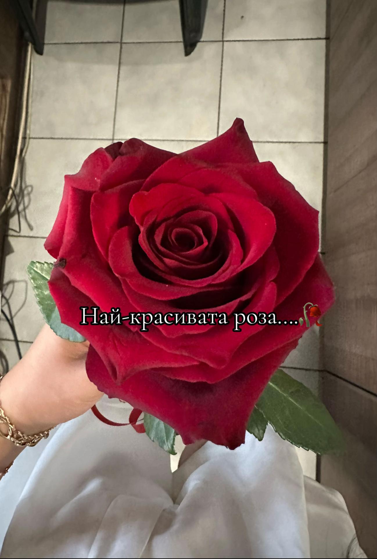 @Mikkaela Kamburova