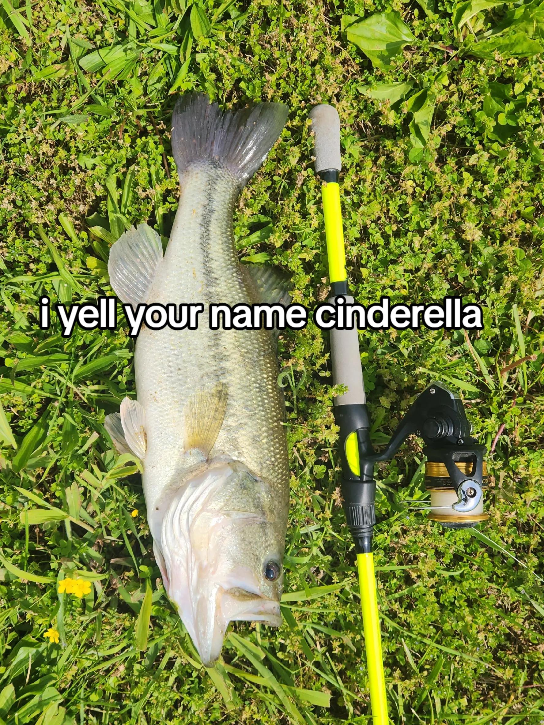 @sammy🏈⚾️🦌🎣