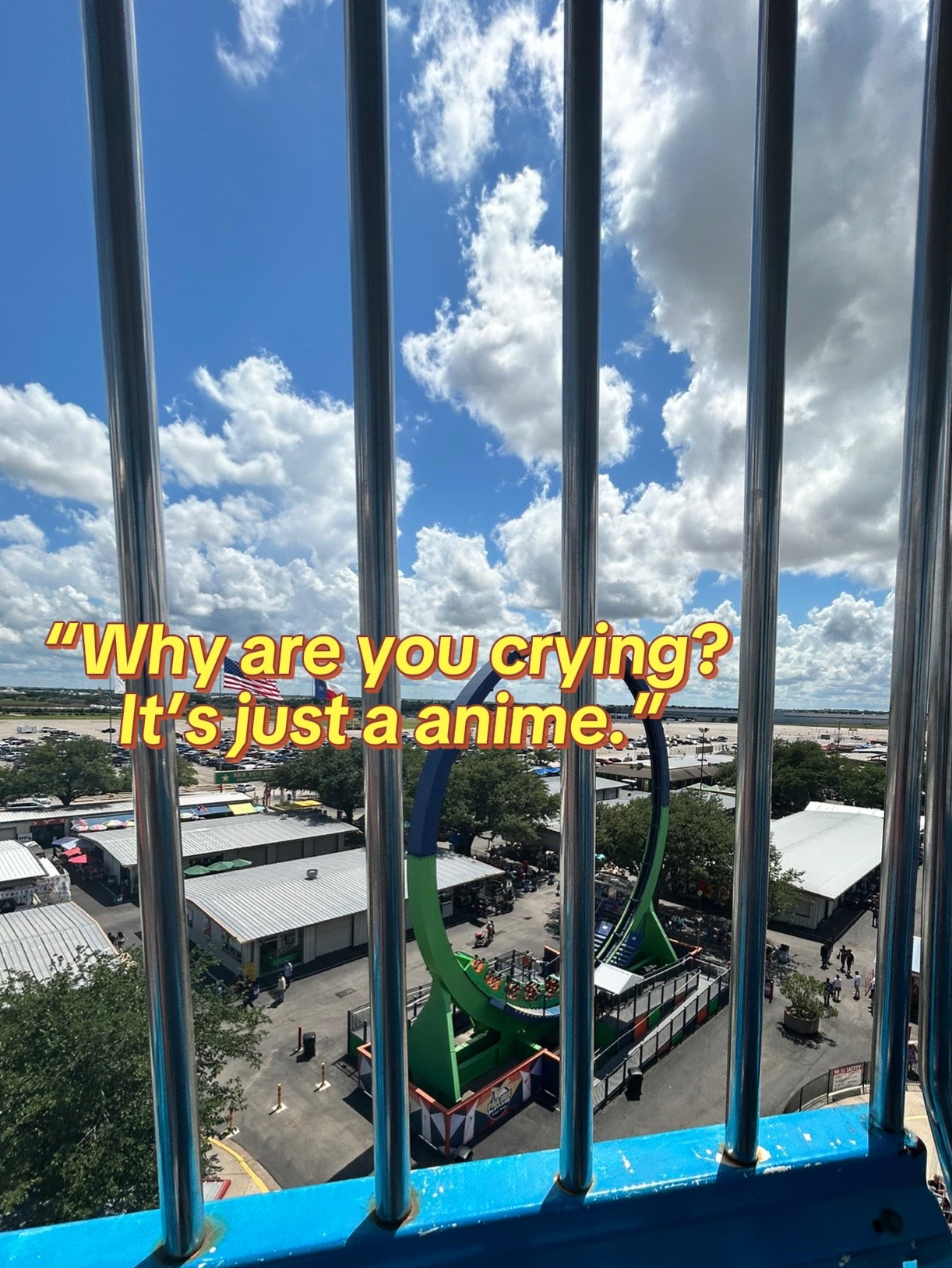 @≽^• ˕ • ྀི≼