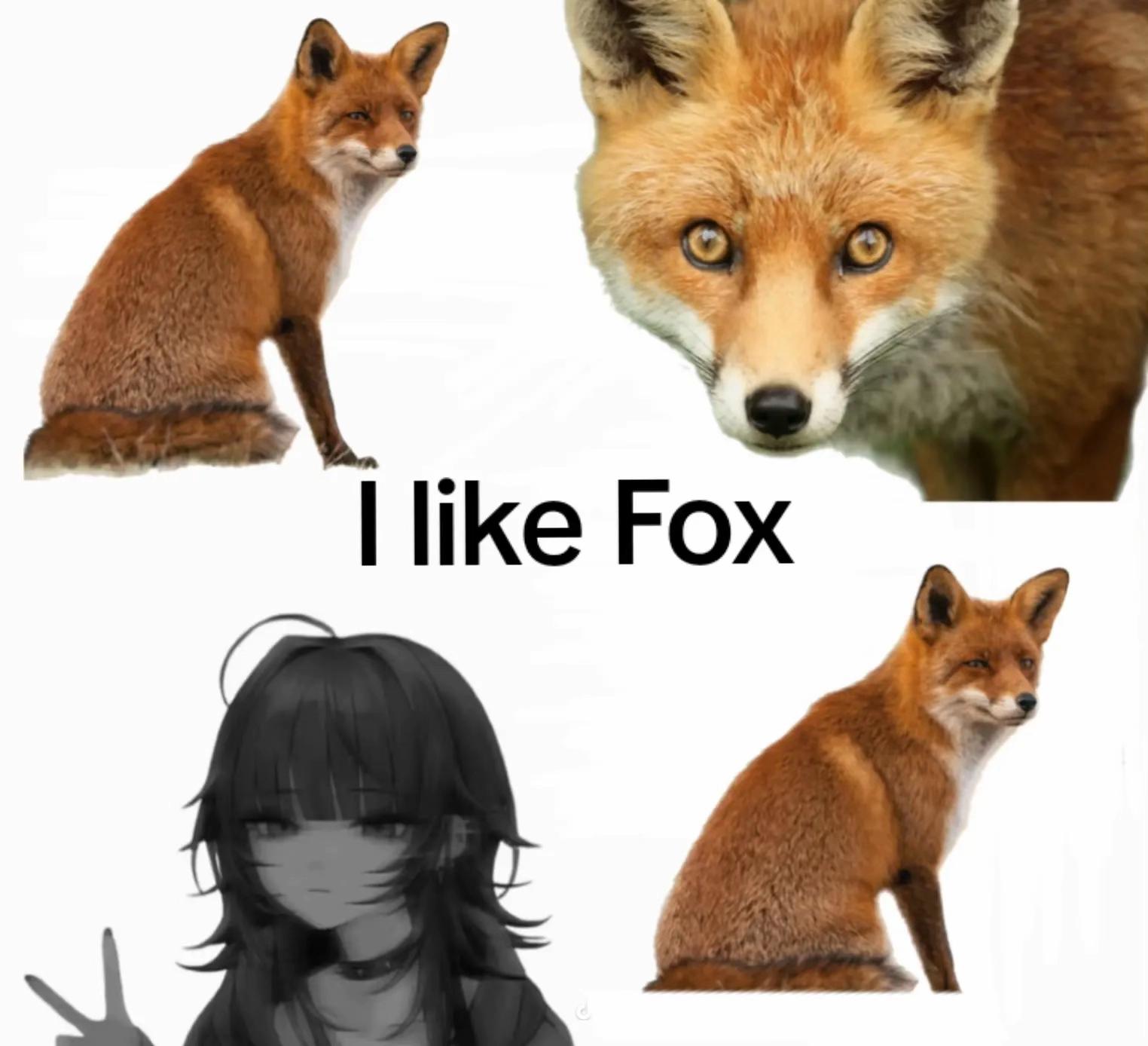 @BojeMTB