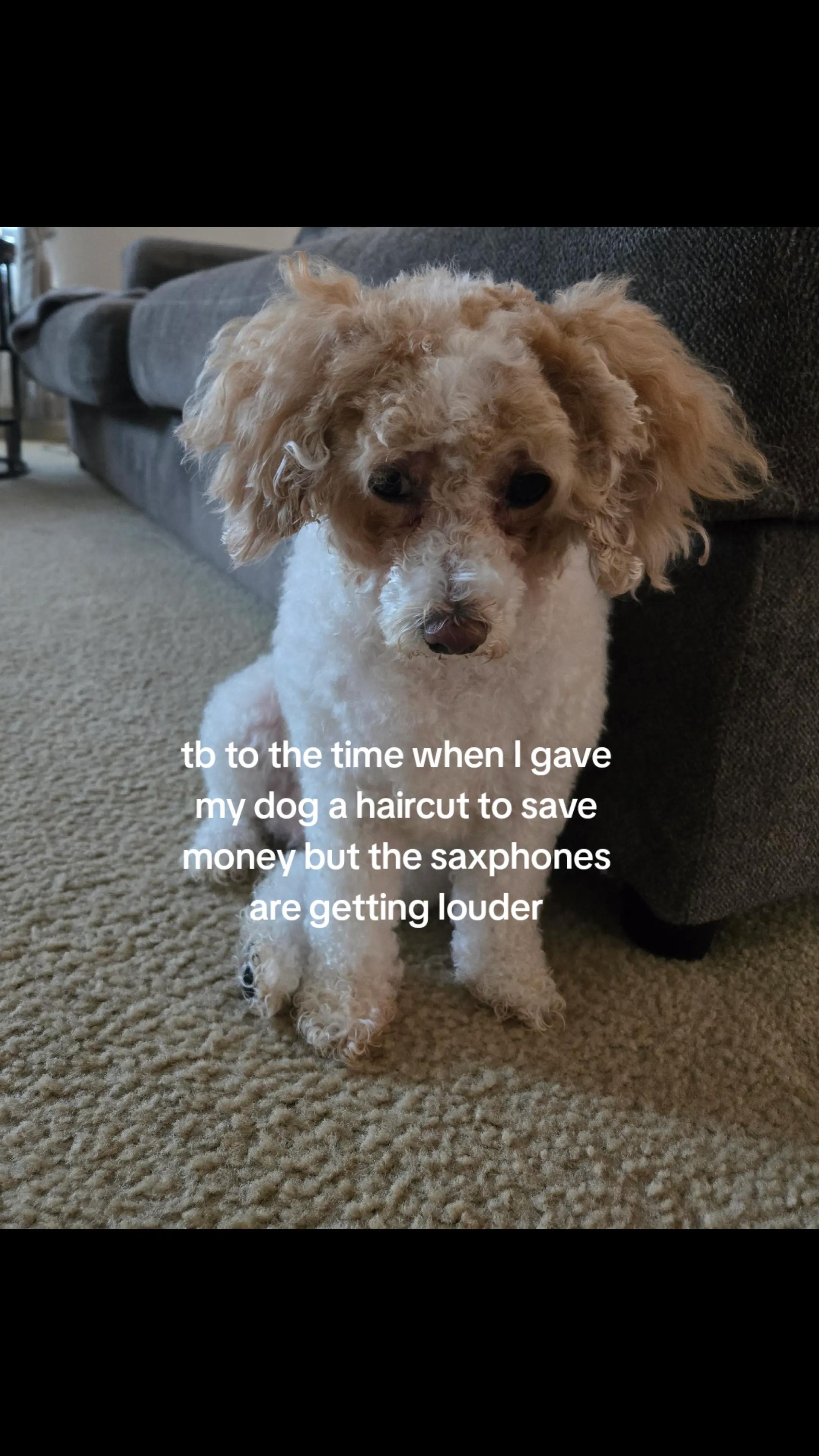@The.Third.Scroll