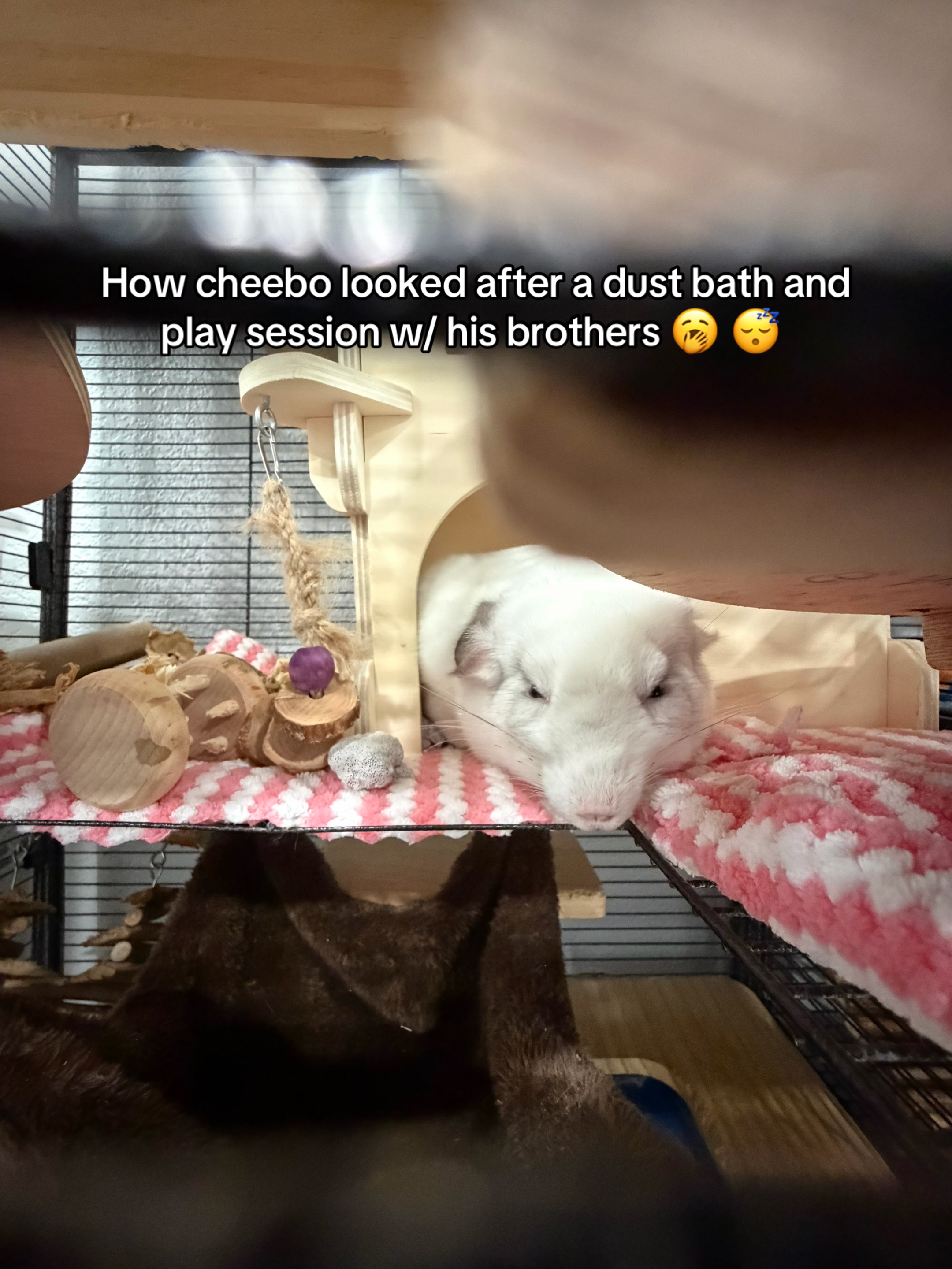 @bunsandhustles