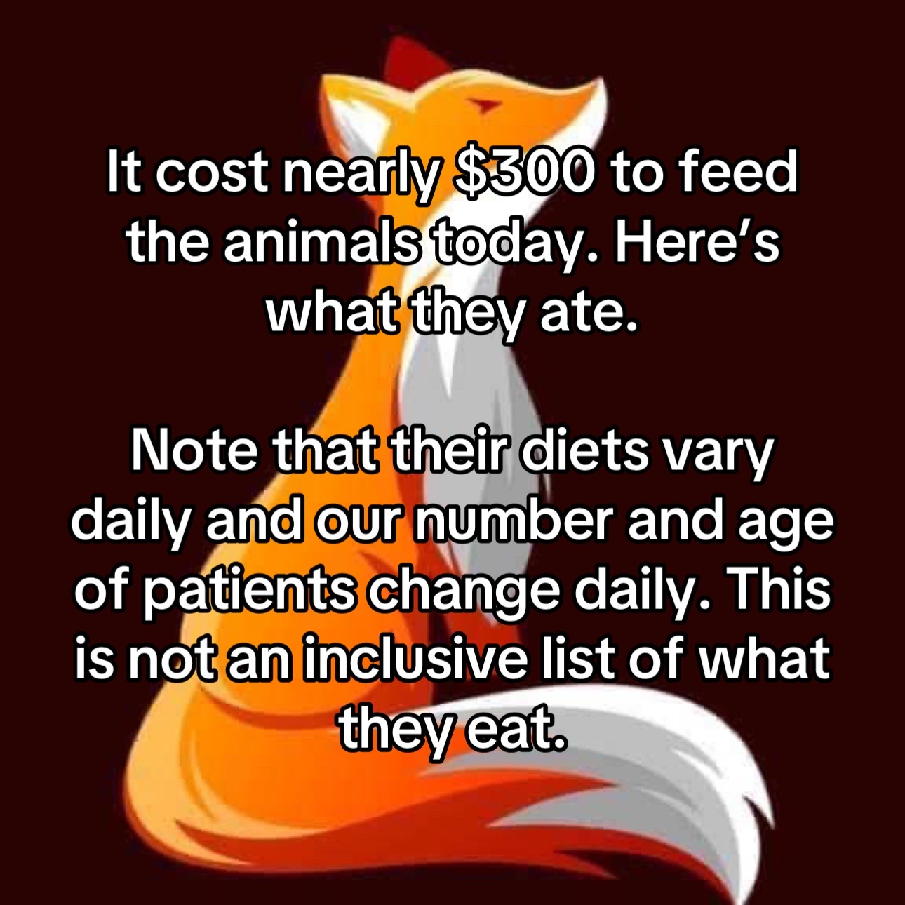 @For Fox Sake Wildlife Rescue