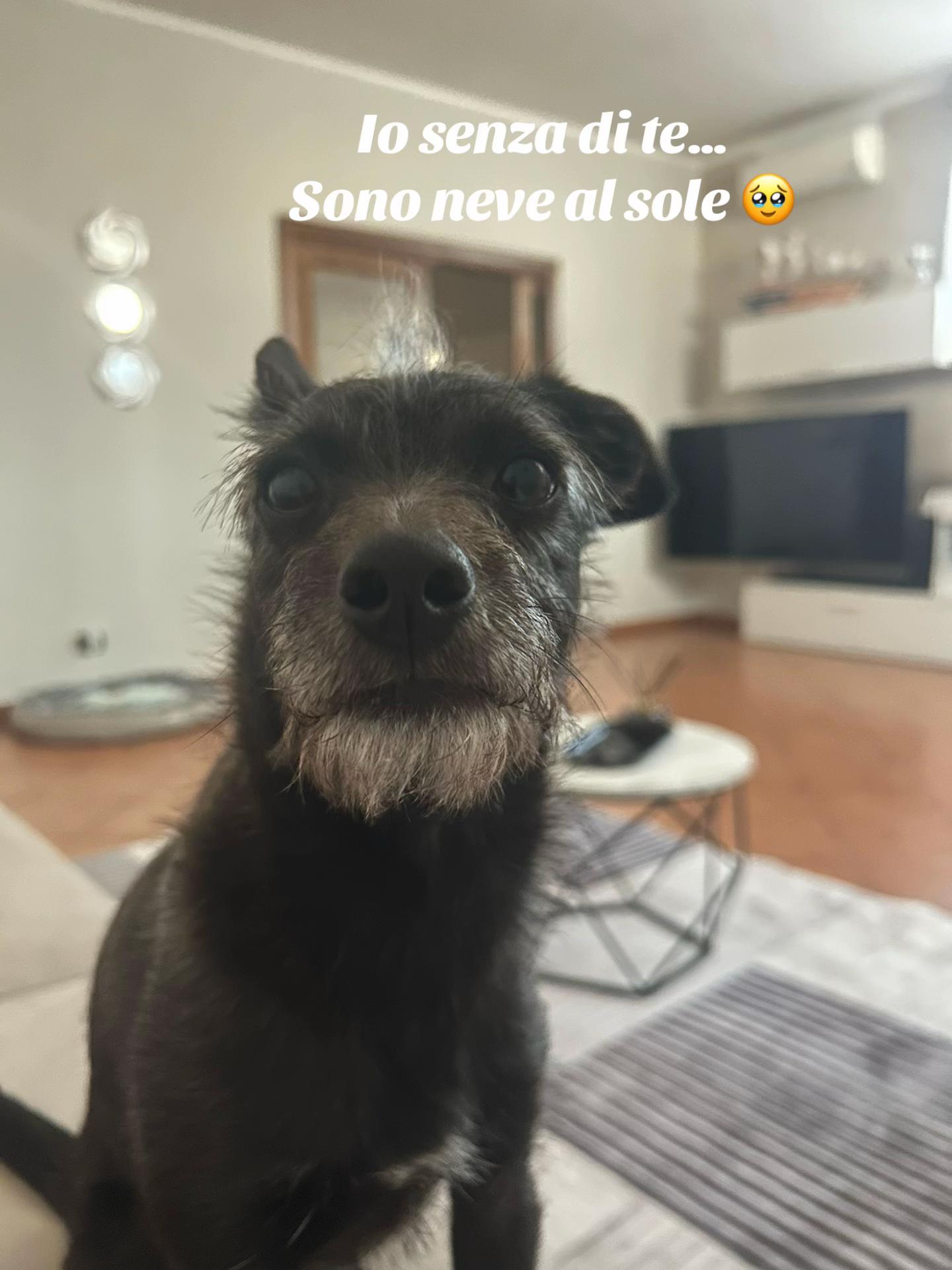 @Demys Cortese