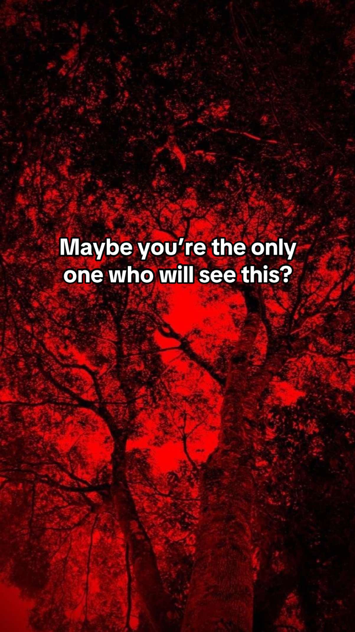 @Kiyo
