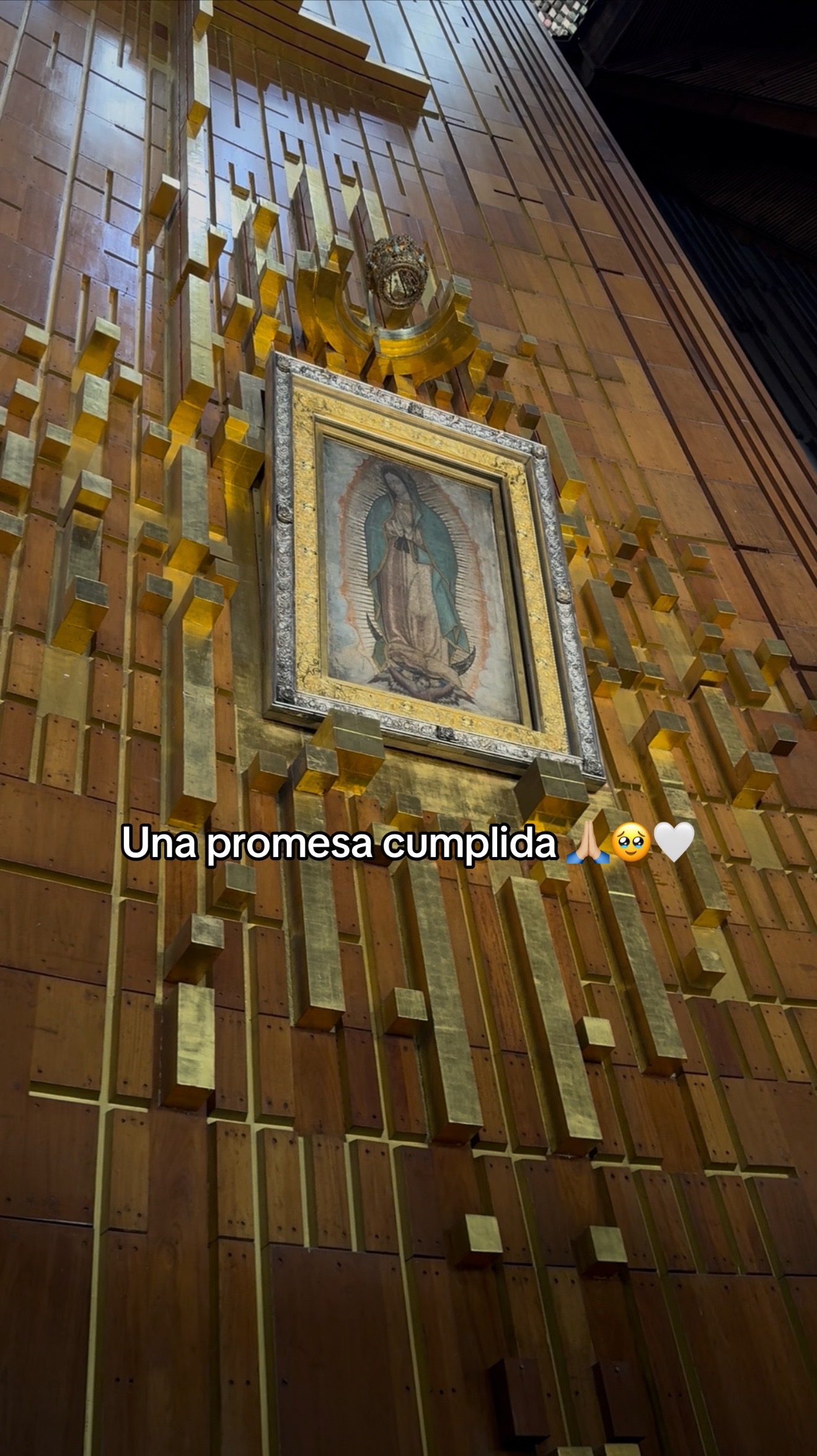 @Odalis Miranda