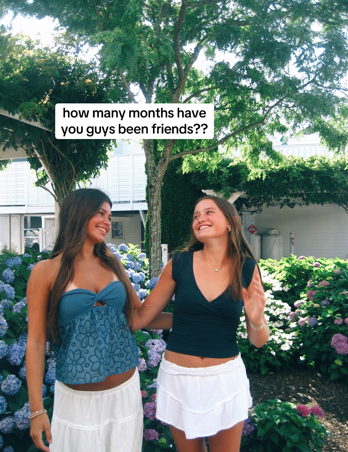 @hailey rose