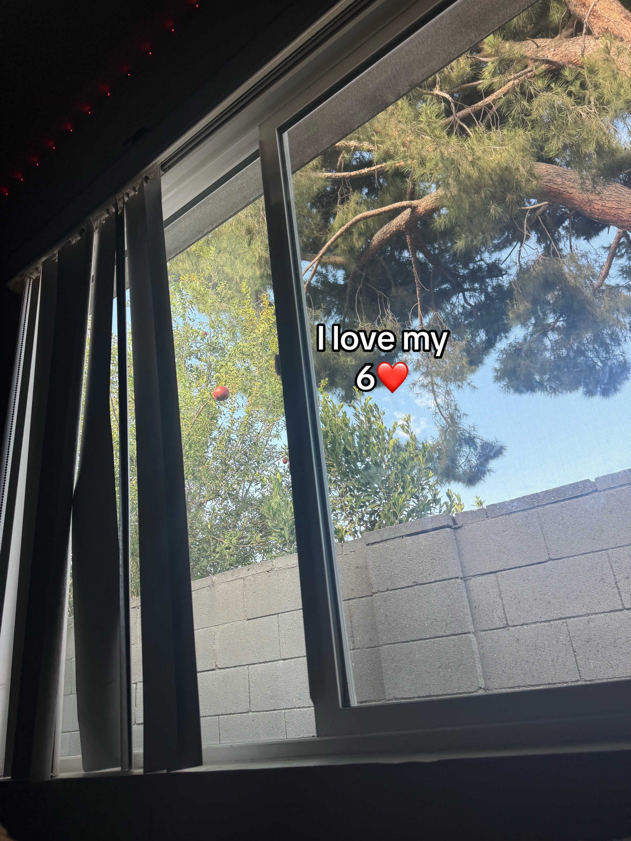 @😈Sofia_mm2😈