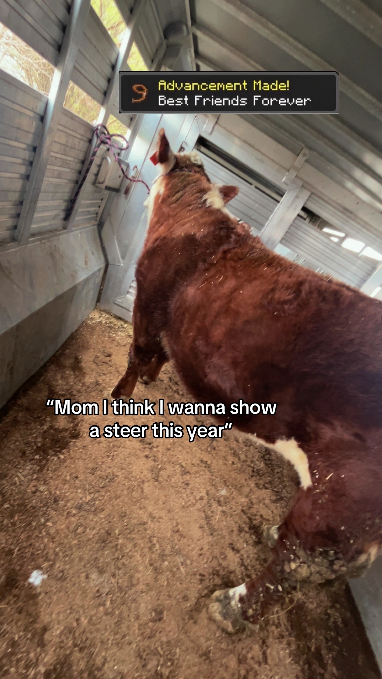 @Sylvia🐄