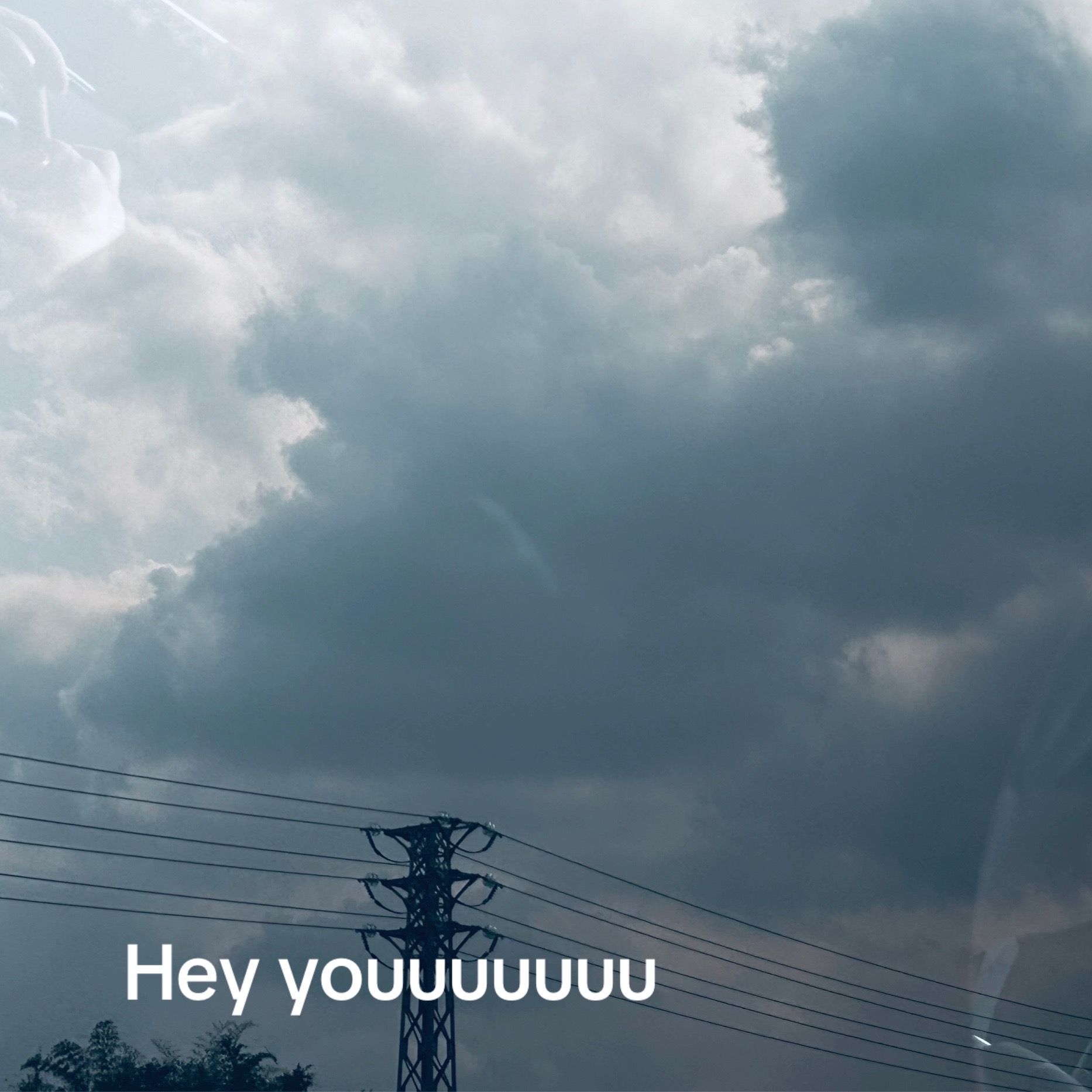 @๐ตโงโห โ ๐๐โฏ๐ ๐๐