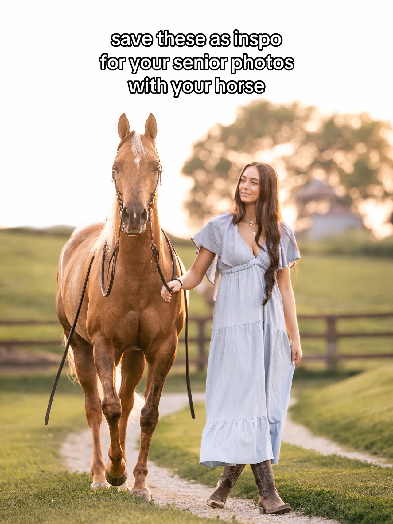 @Tisha 📸🦄 Equestrian&ensp;Photog