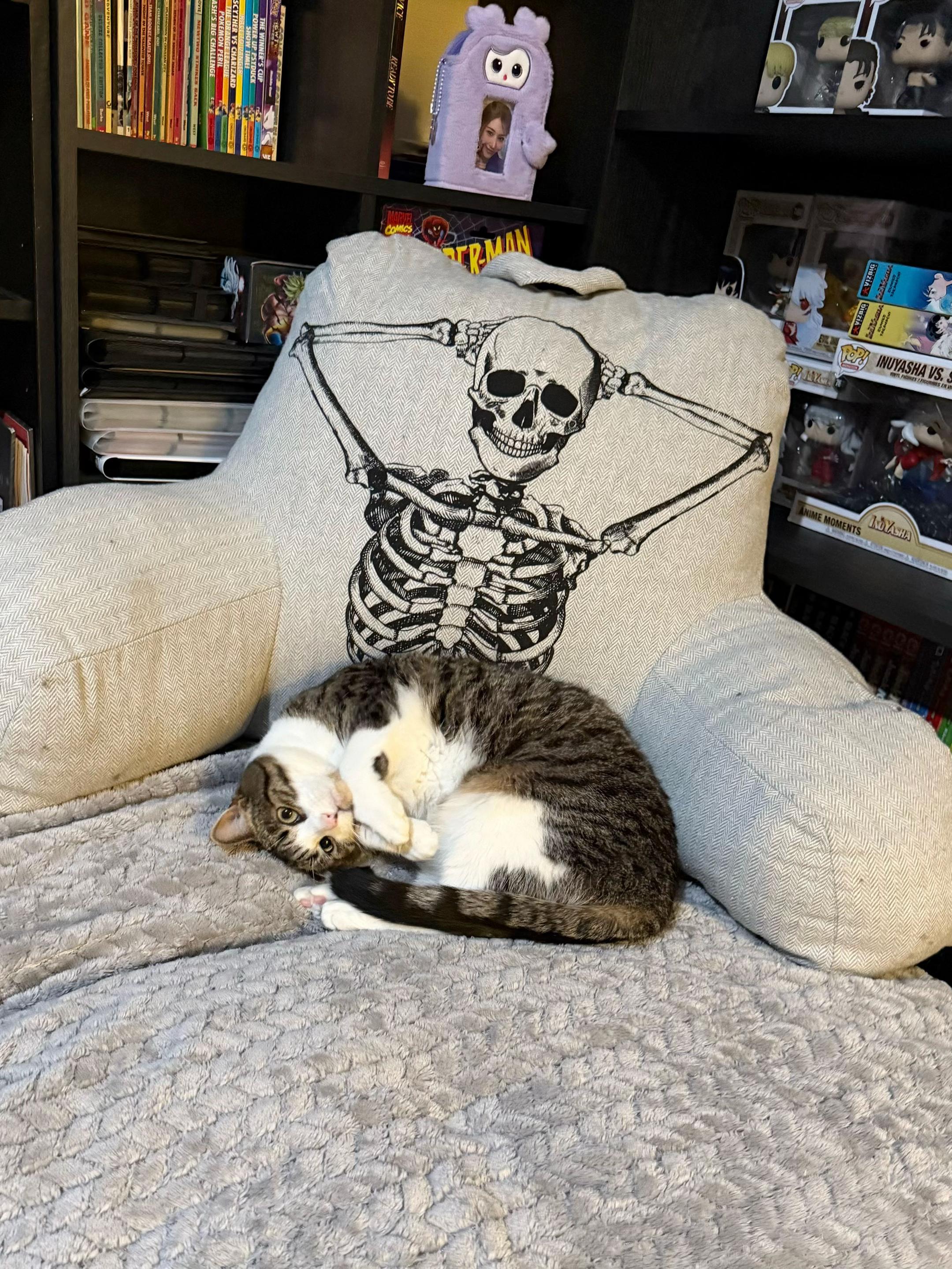 @Teefie_tribe 🐈⬛🐈⬛🐈🦷🦷