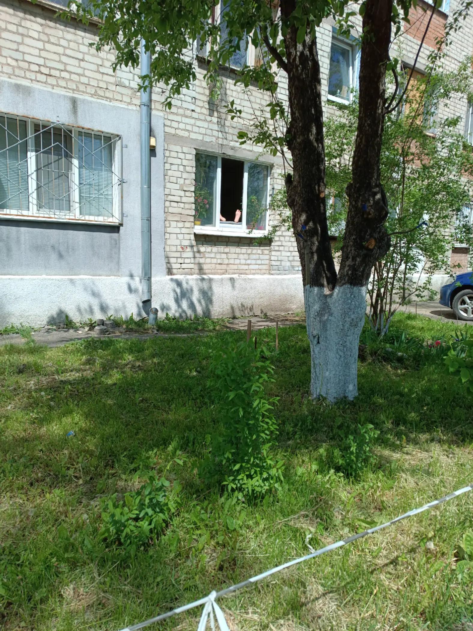 @Котяра