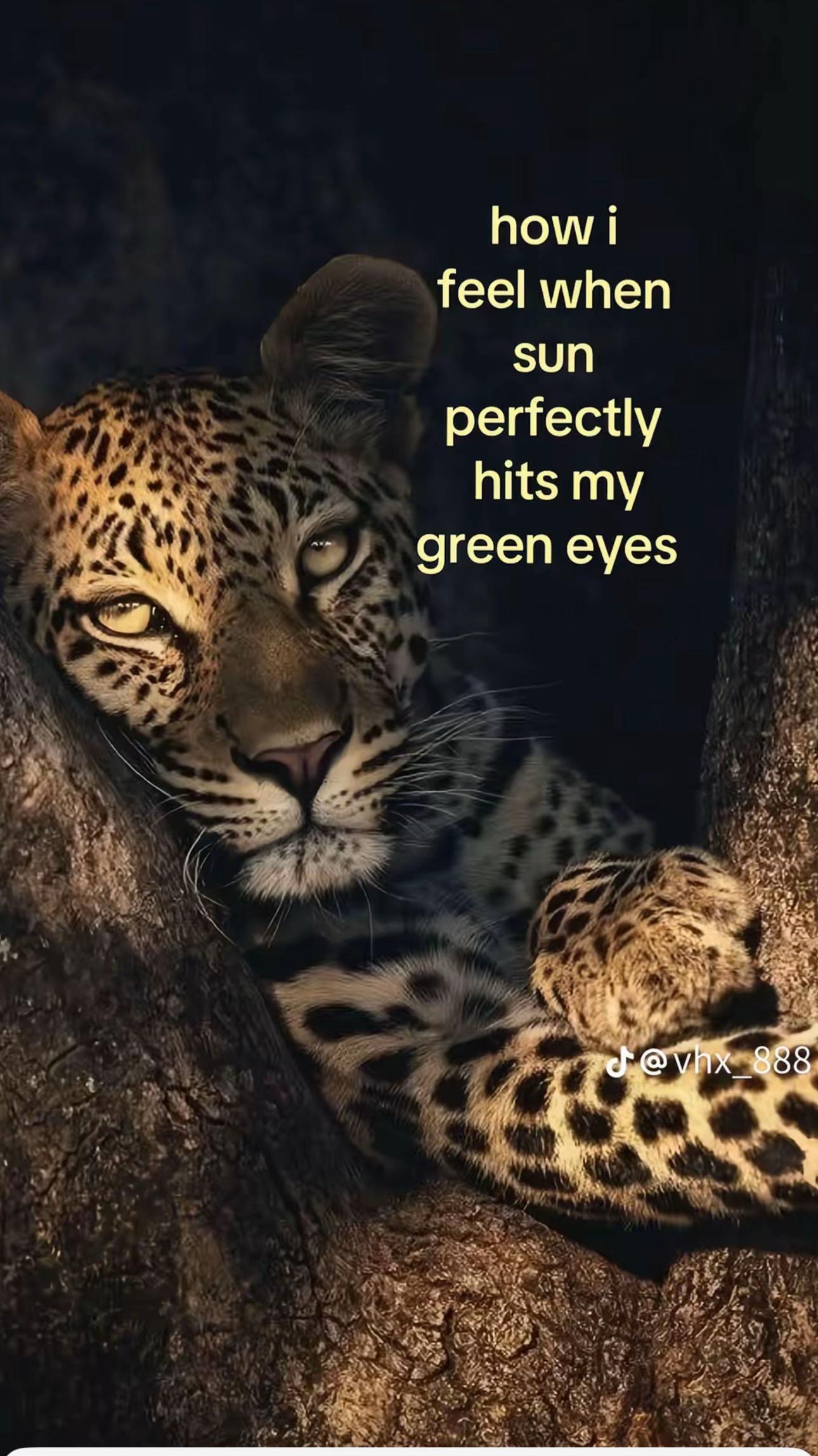 @Kodi Mccleary