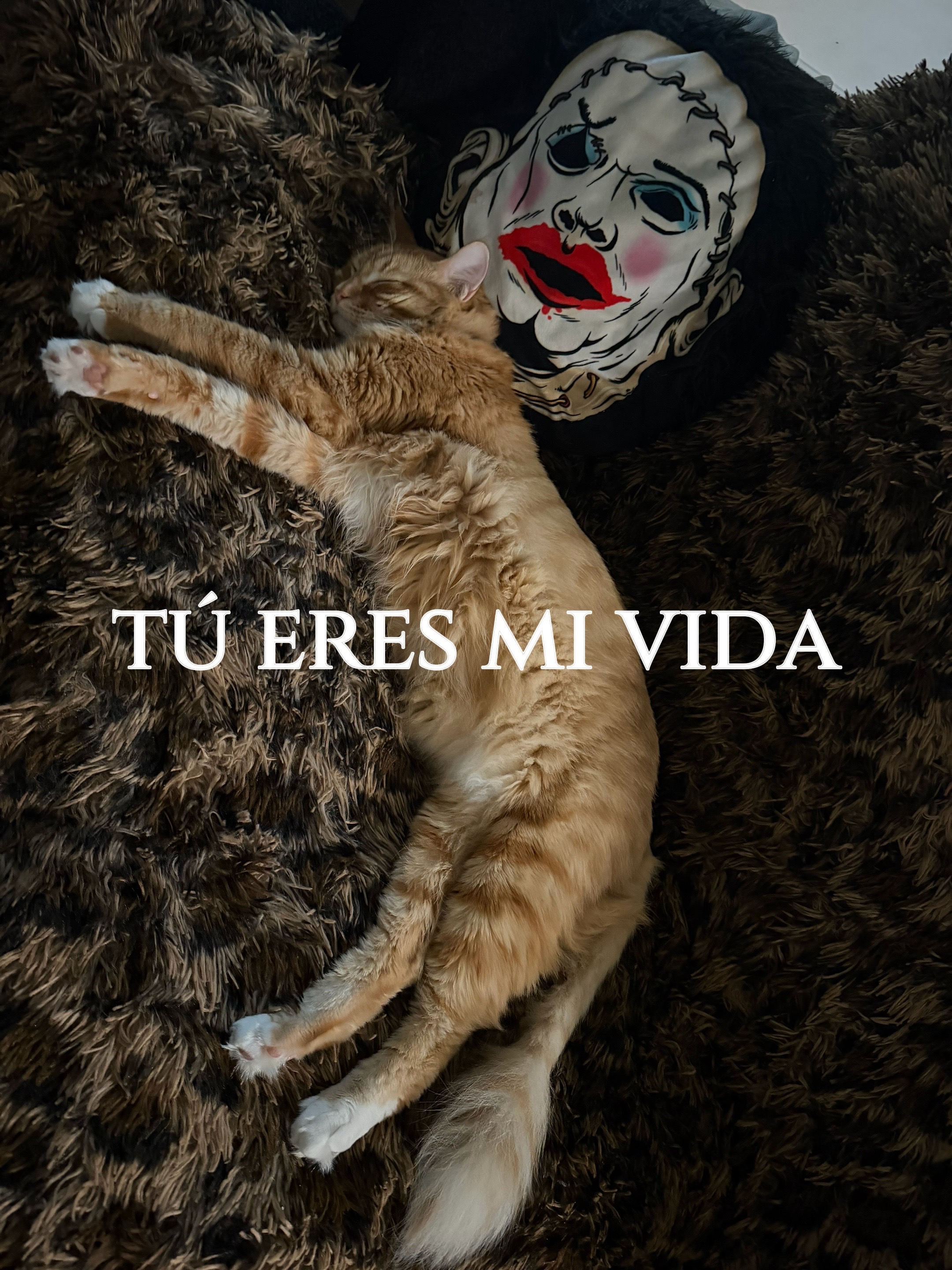 @b