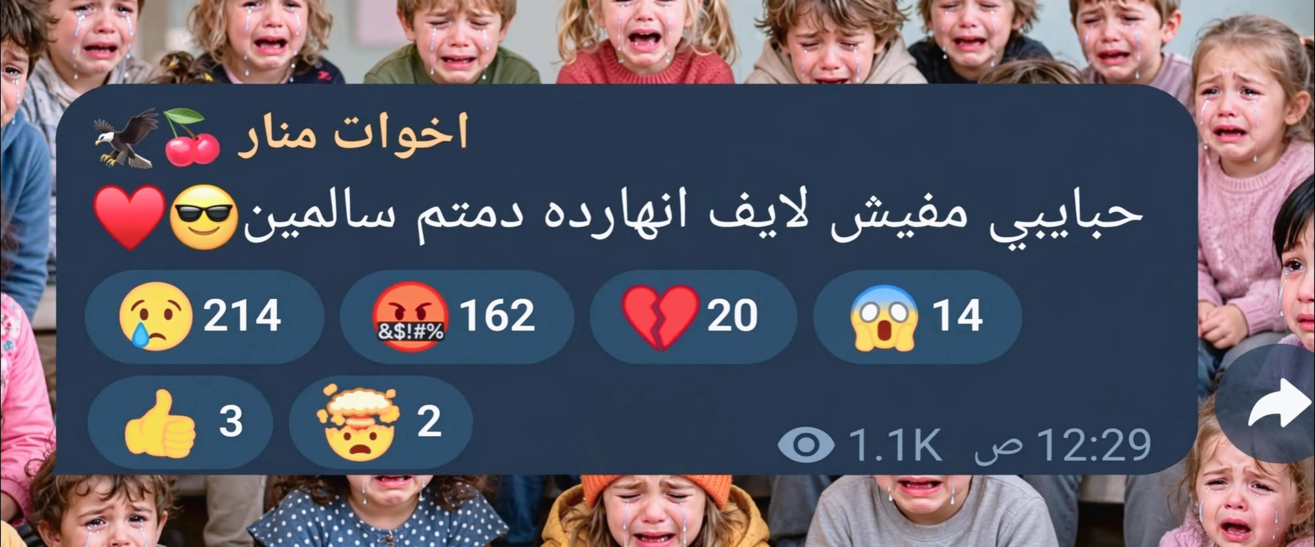 @🍒جيش منار 🍒 🄴🄼🄰🄽