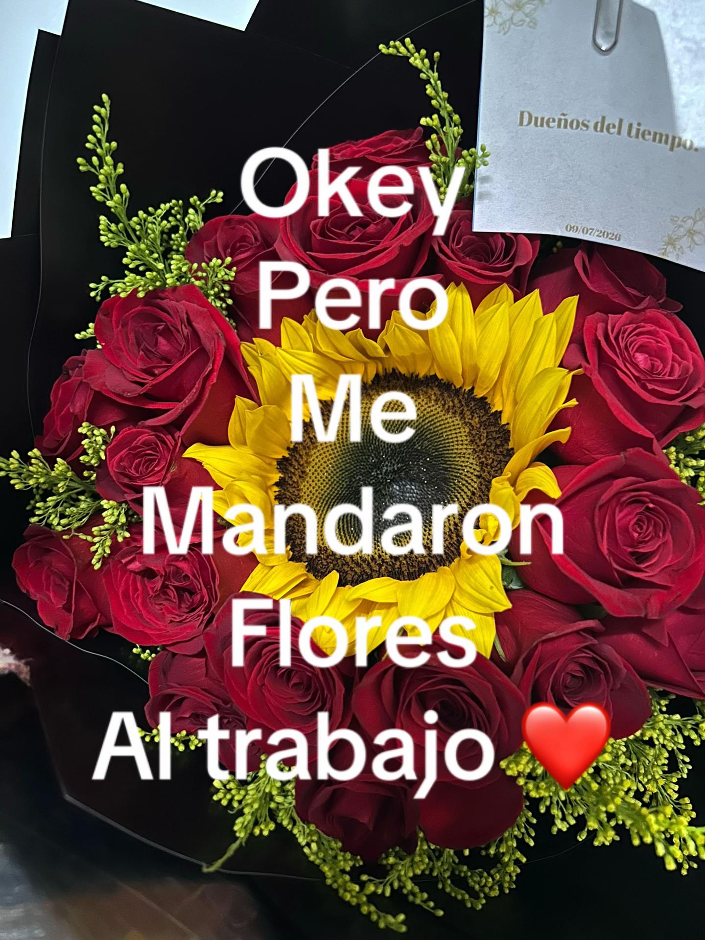 @Soy_ximena_444