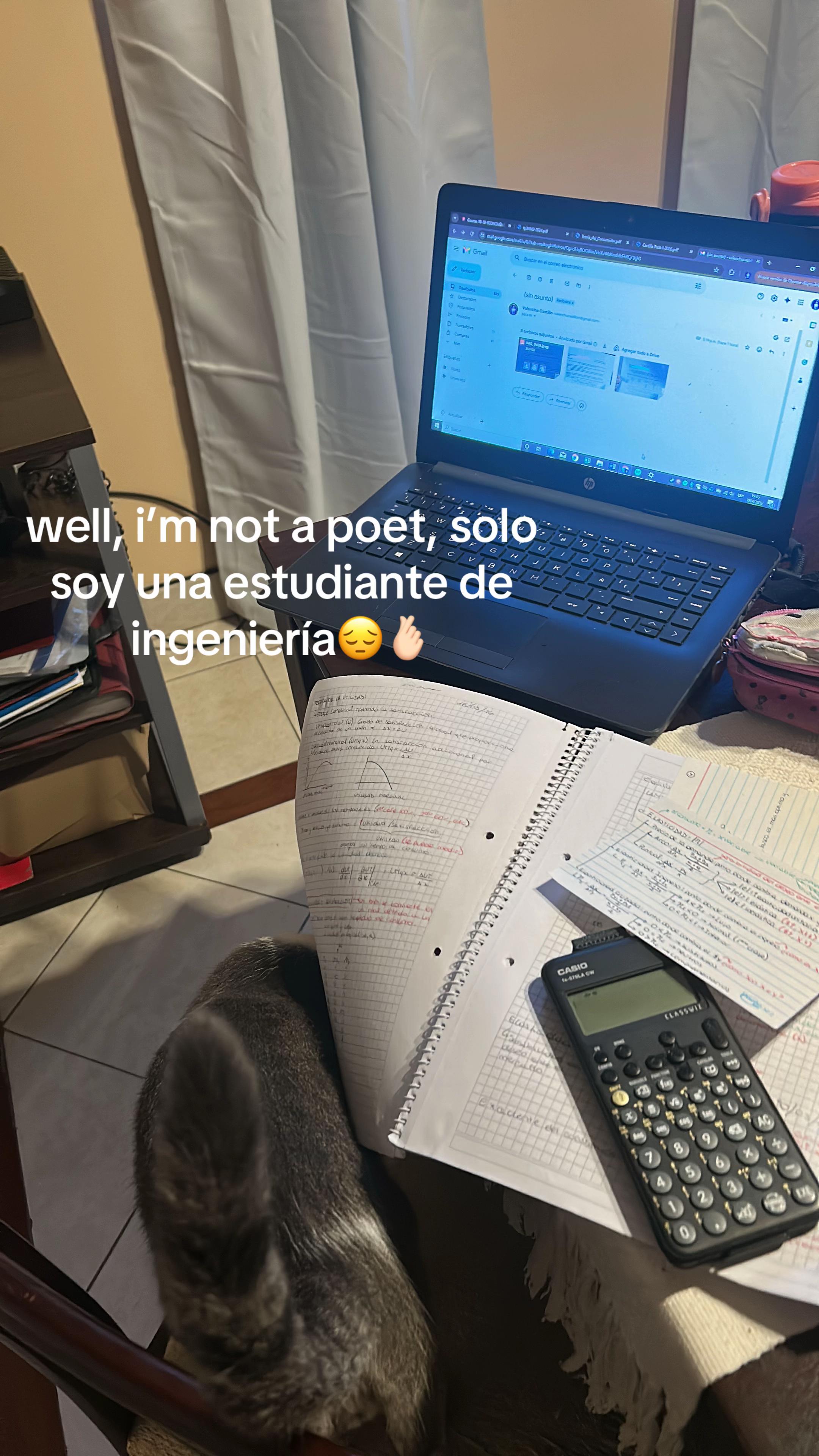 @valencastillom