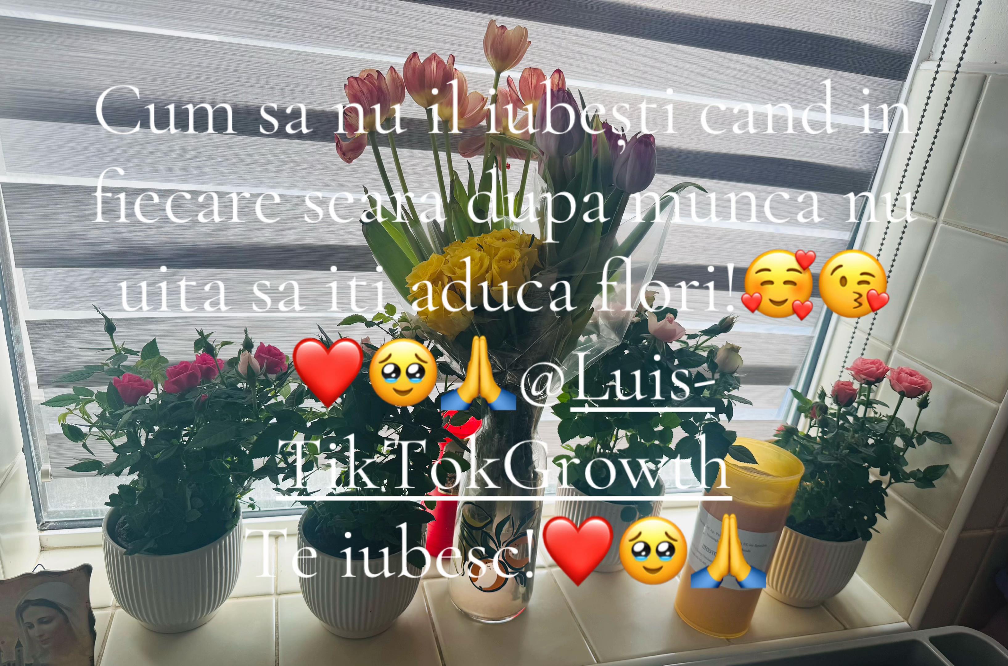 @Lorena Neculaes