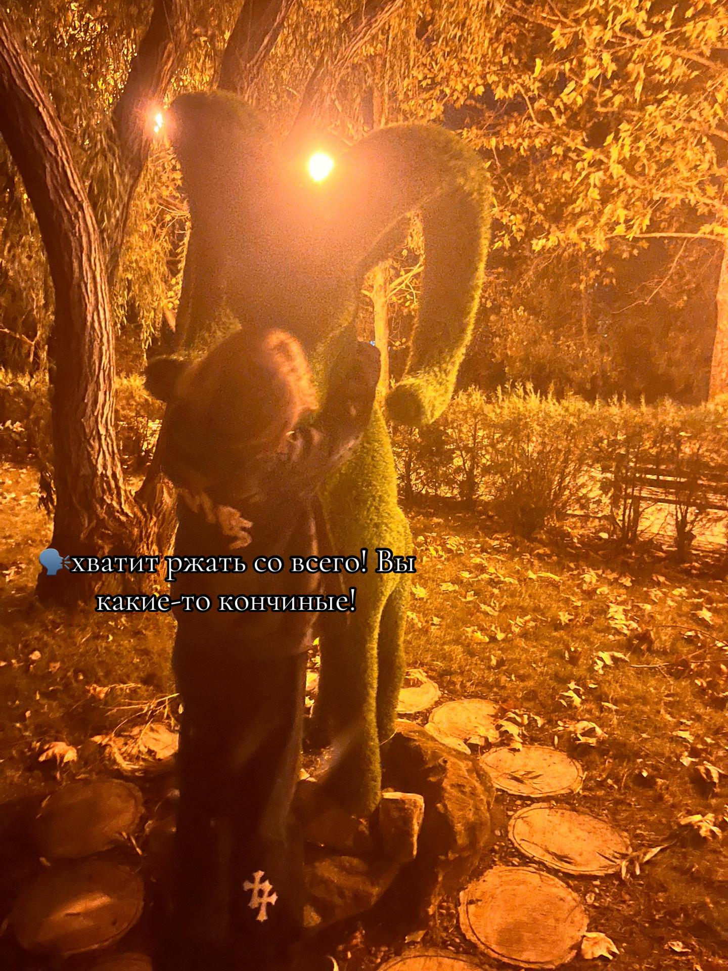 @Пальма