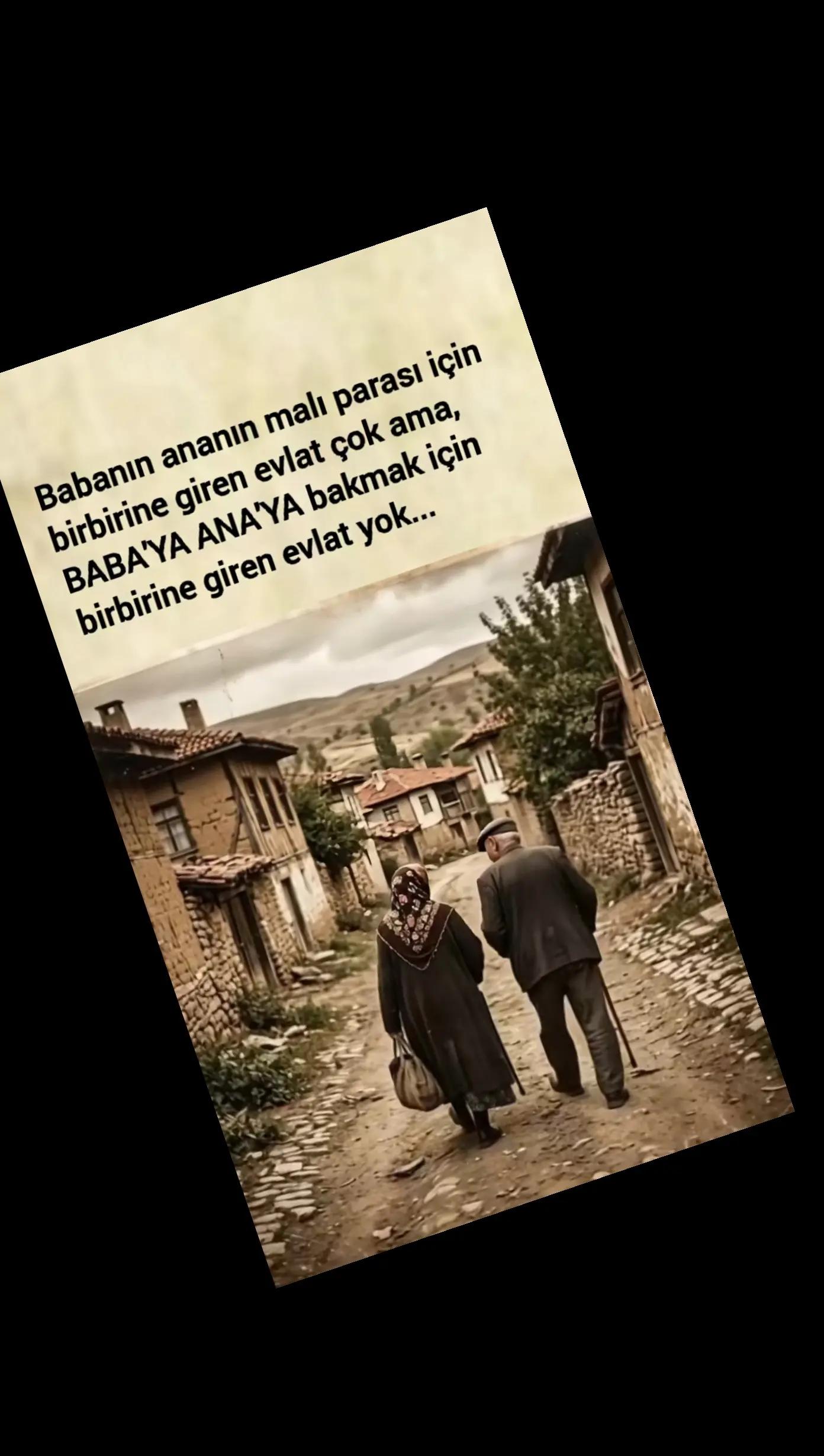 @papatya