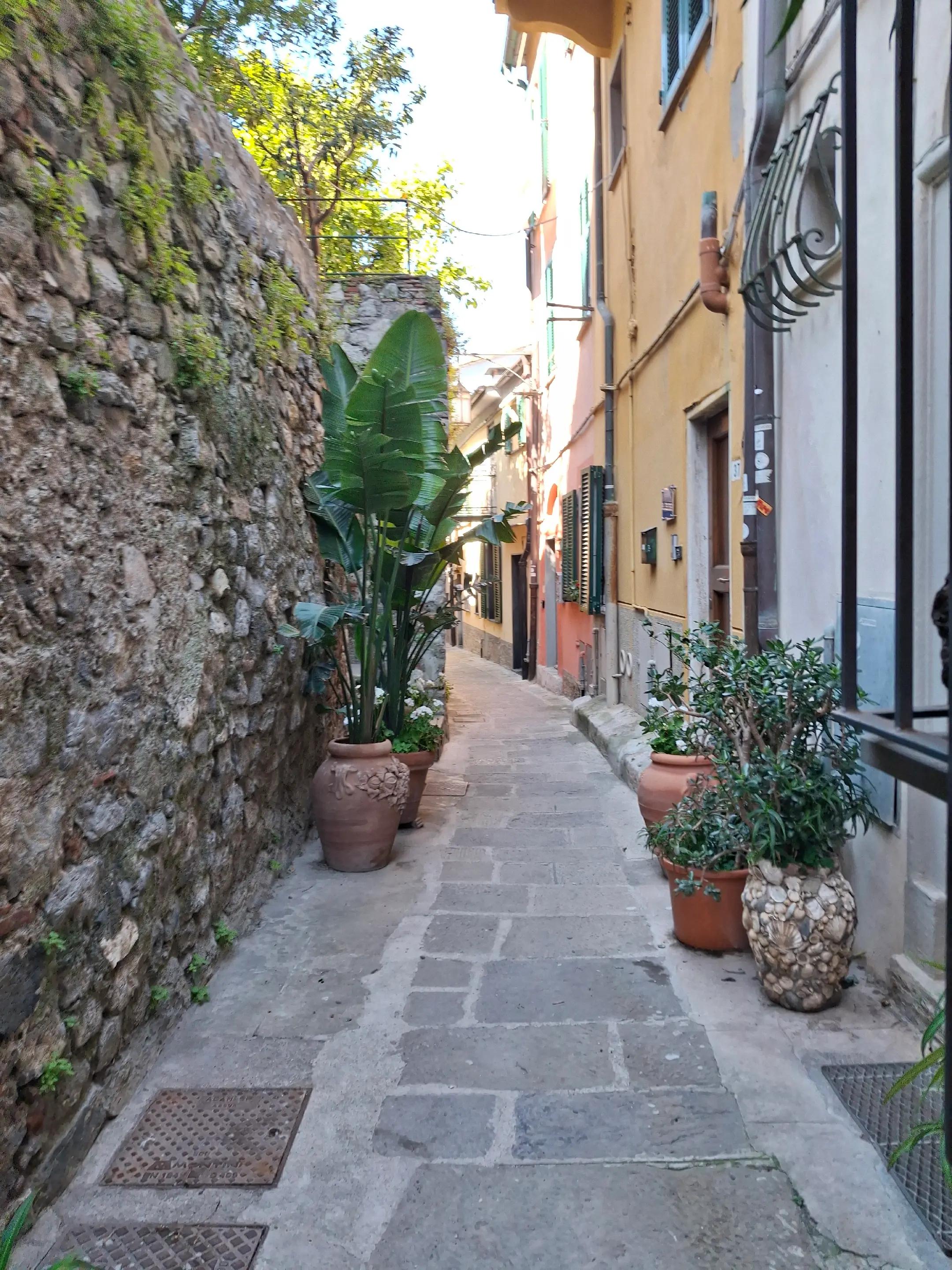 @Silene Di Muro