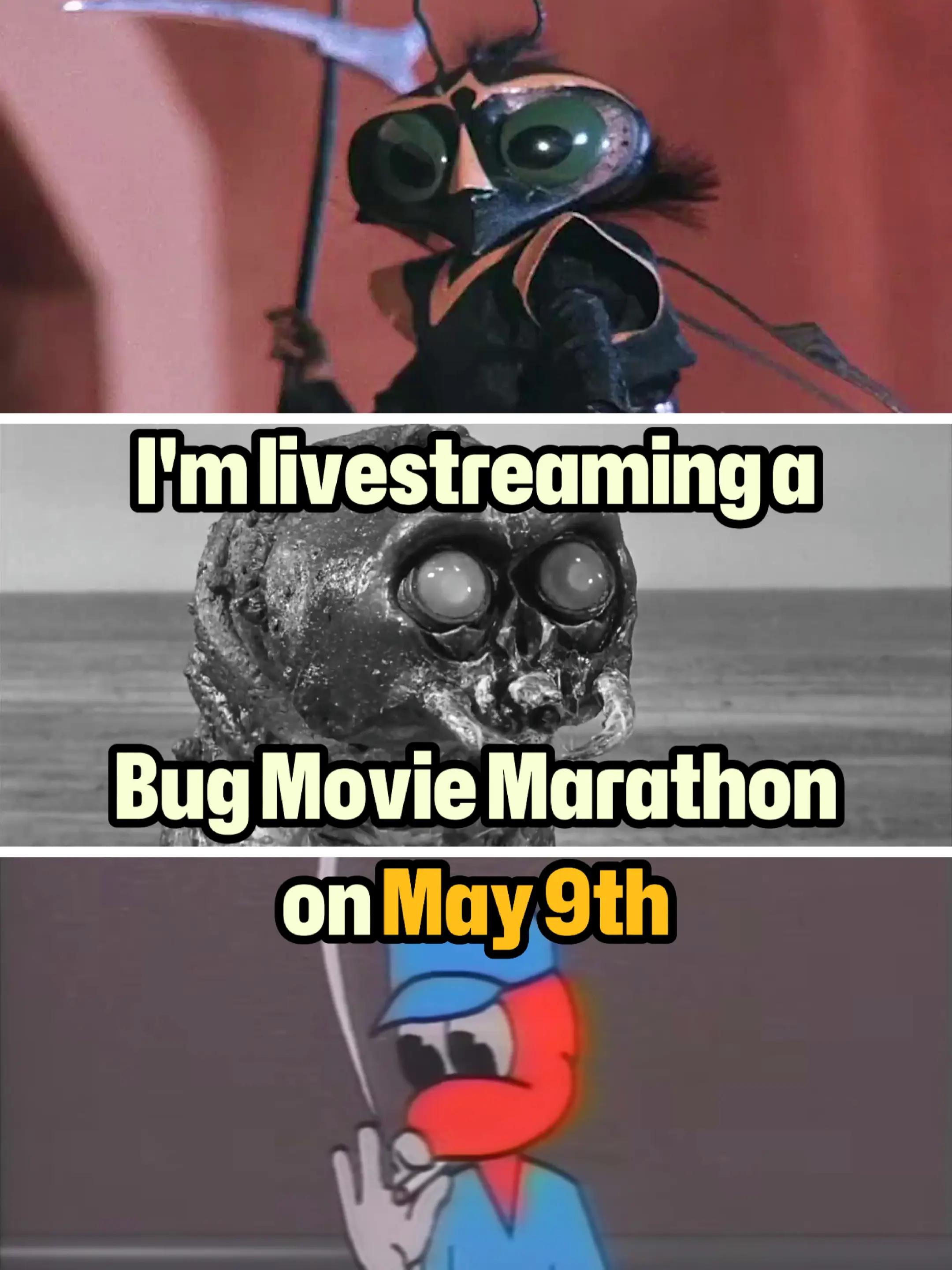 @the film bug 🎟