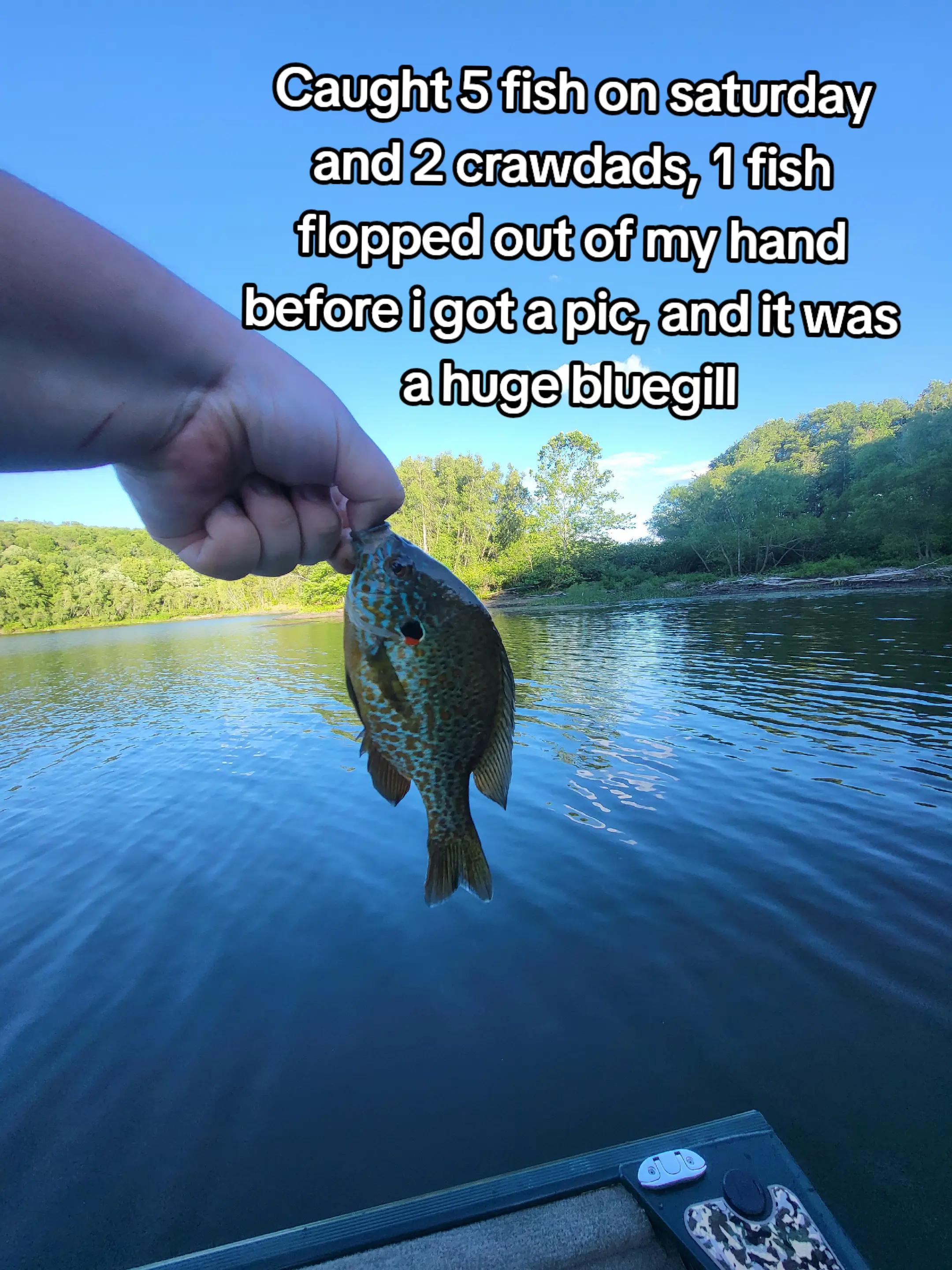 @TheReelLife