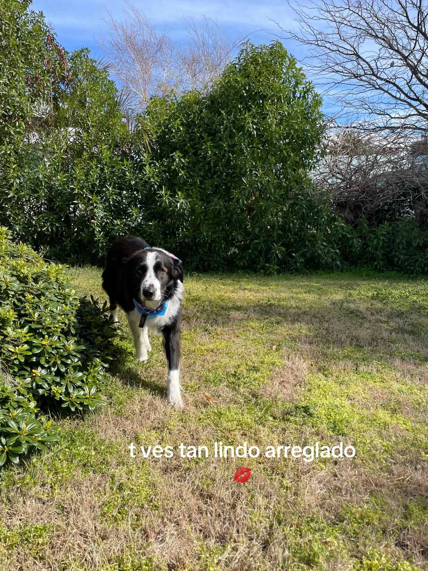 @yo