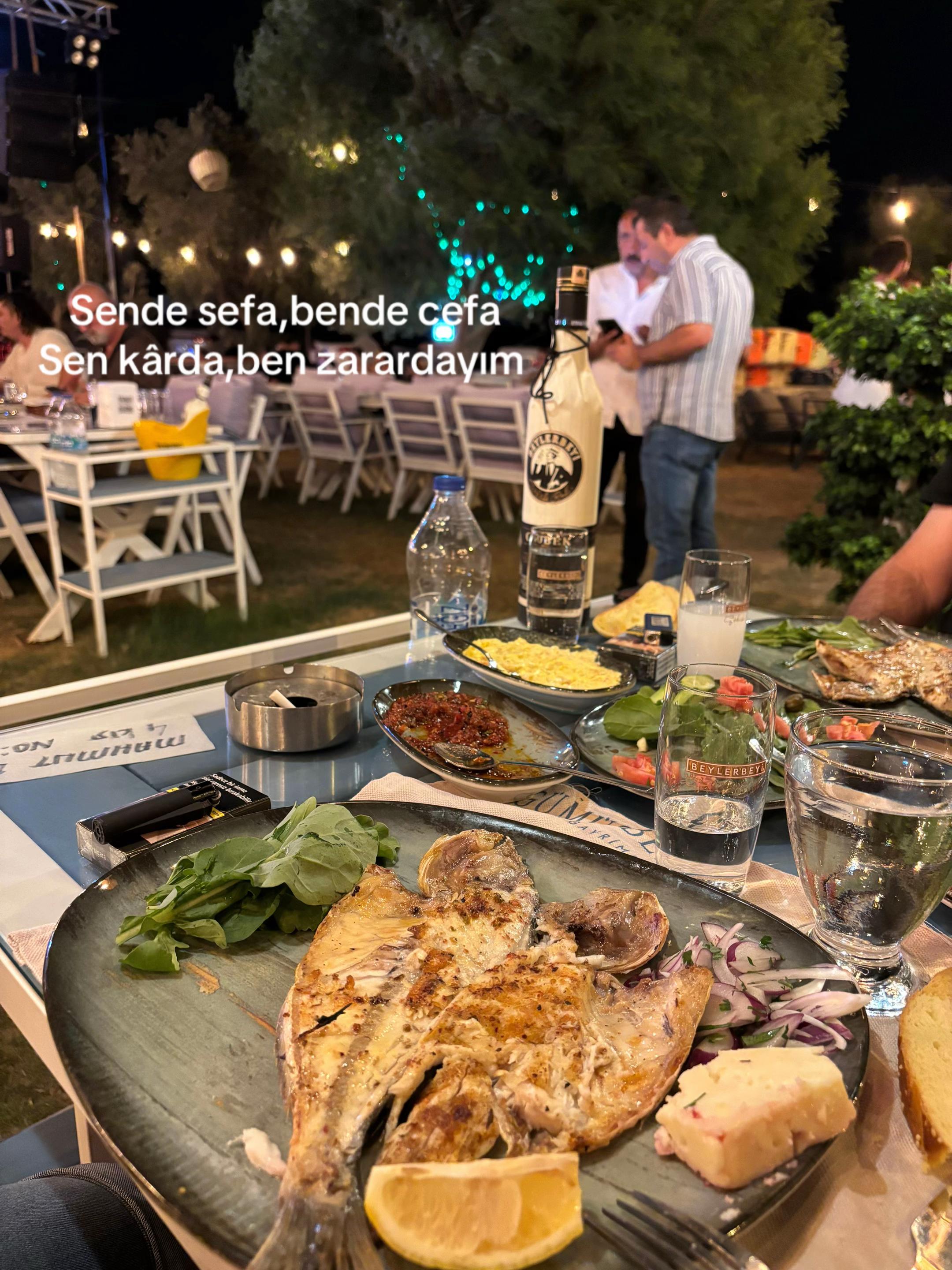 @Elvan Kılı&ccedil;arslan