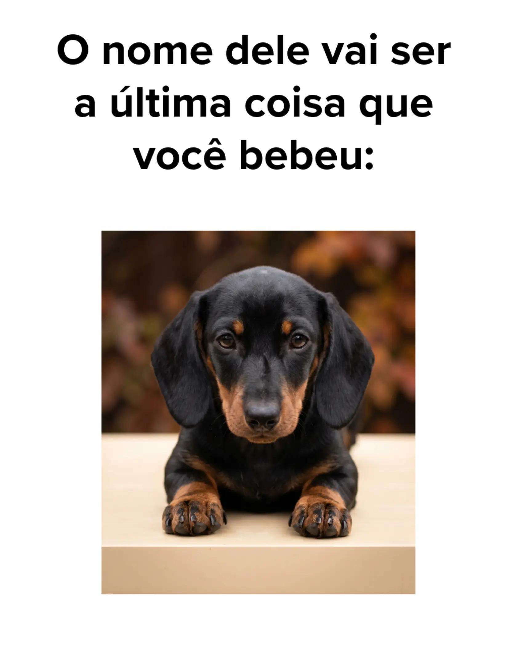 @Quiz R&aacute;pido