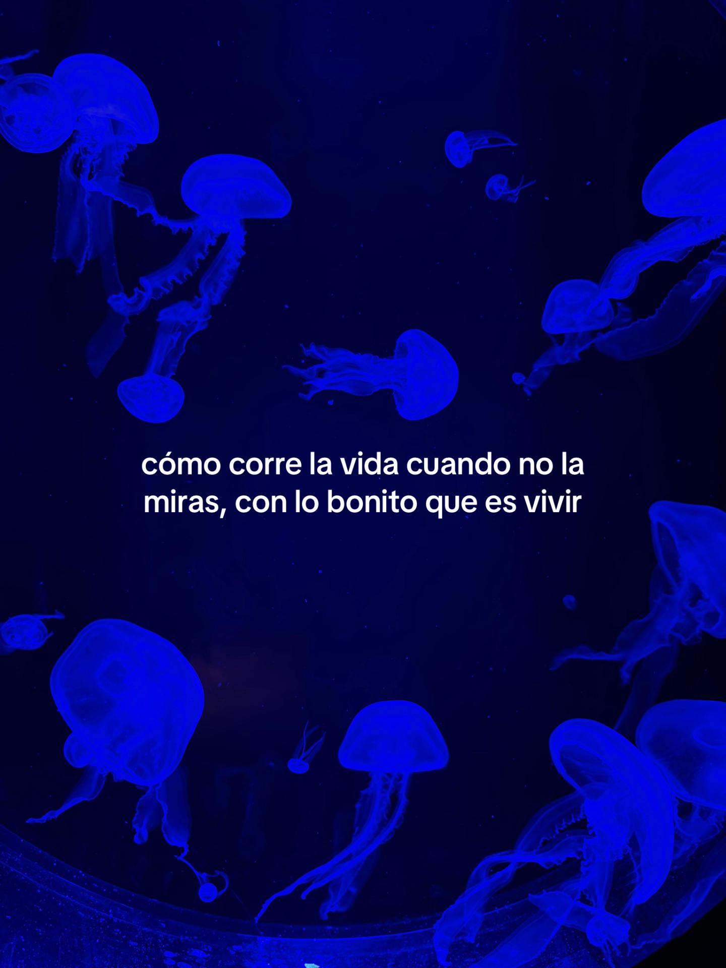 @aina🩷