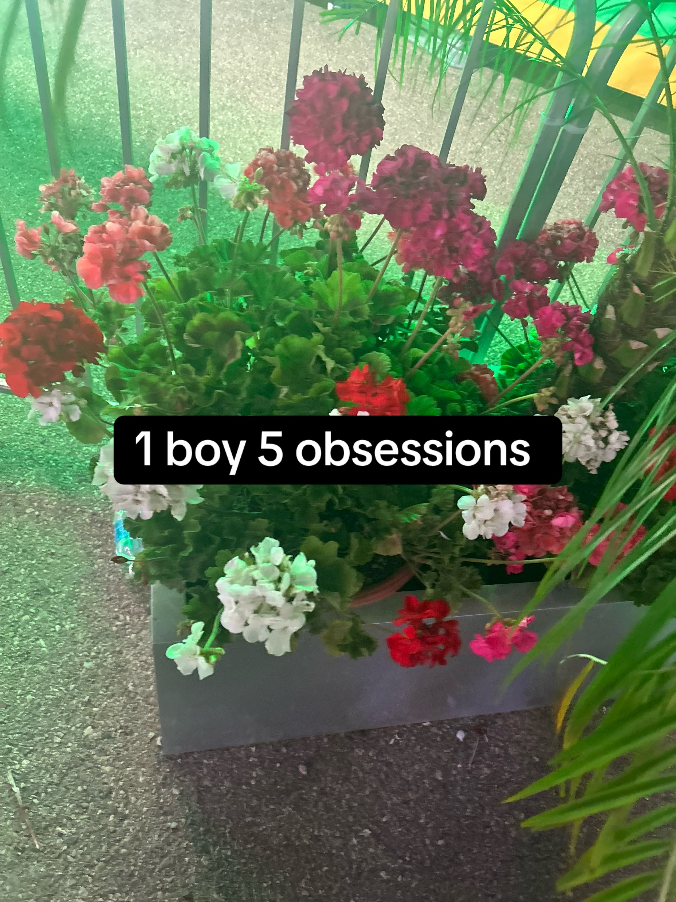 @🔋LBXD1eg0🐝