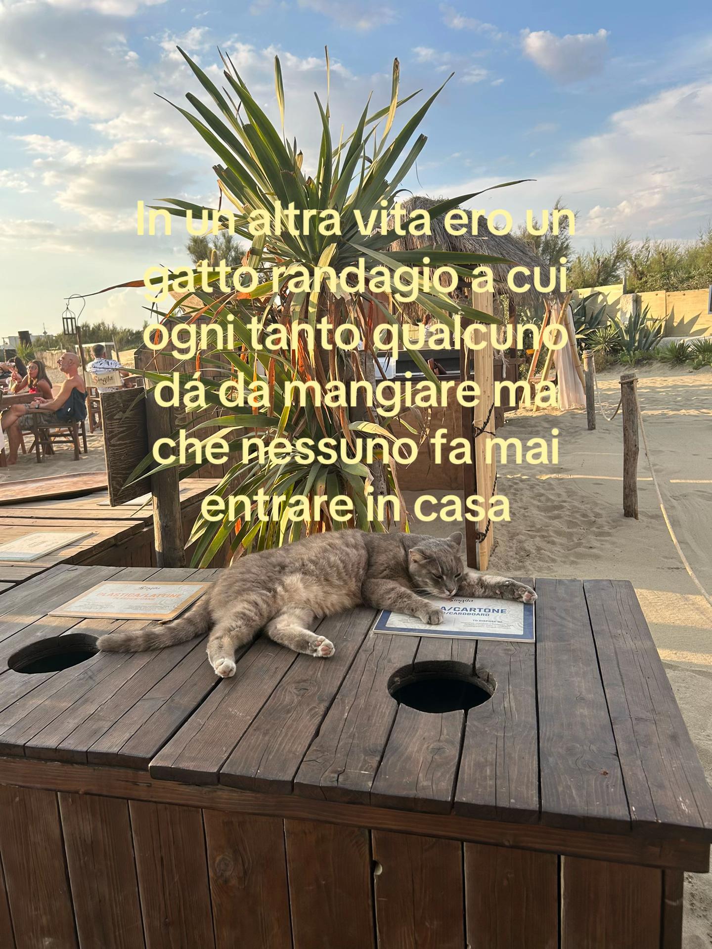 @Lara Mariani215