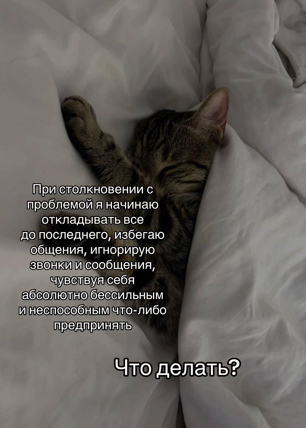 @тгк: психология с марго