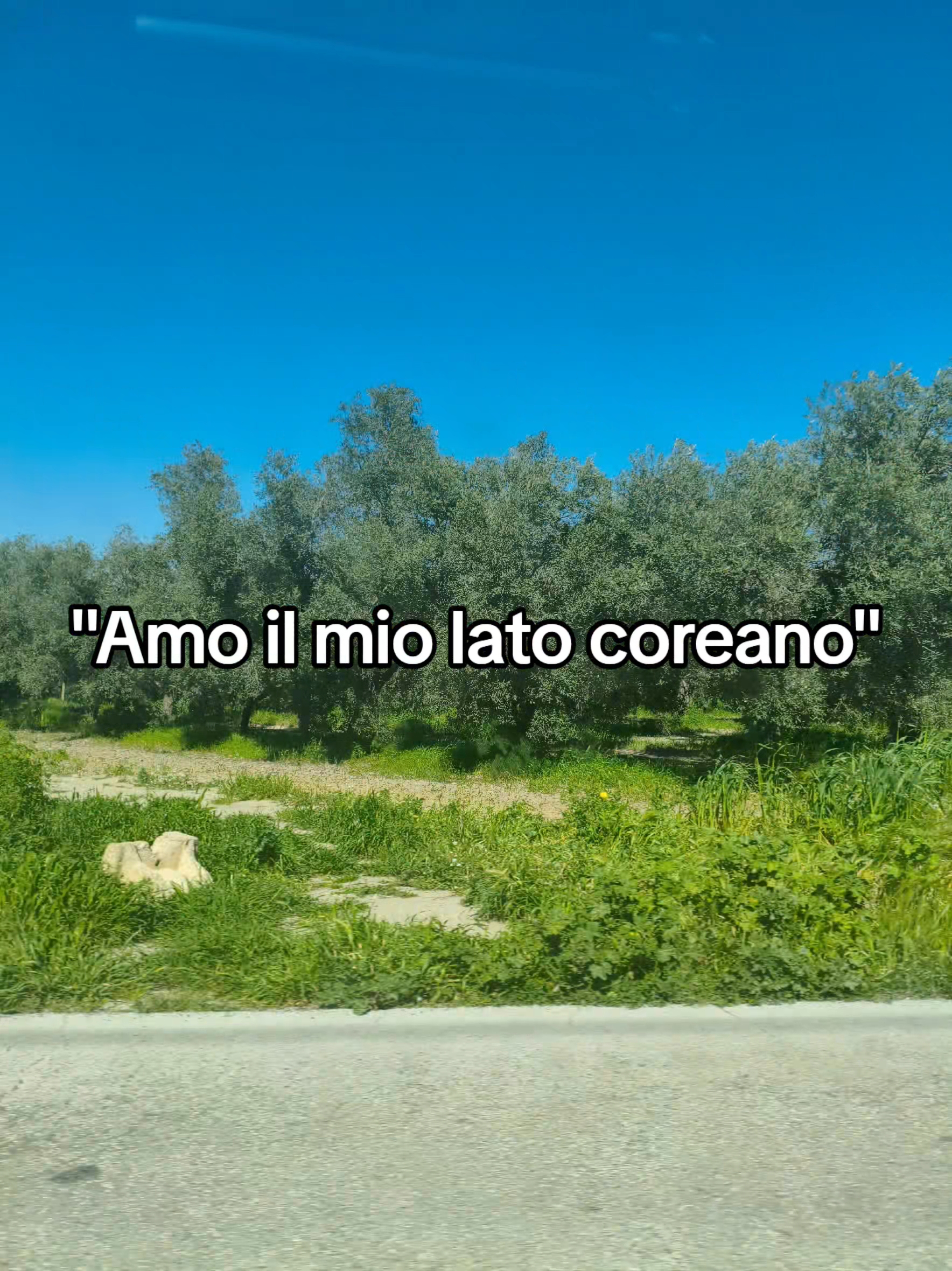 @𝑨𝒔𝒉𝒚🪽